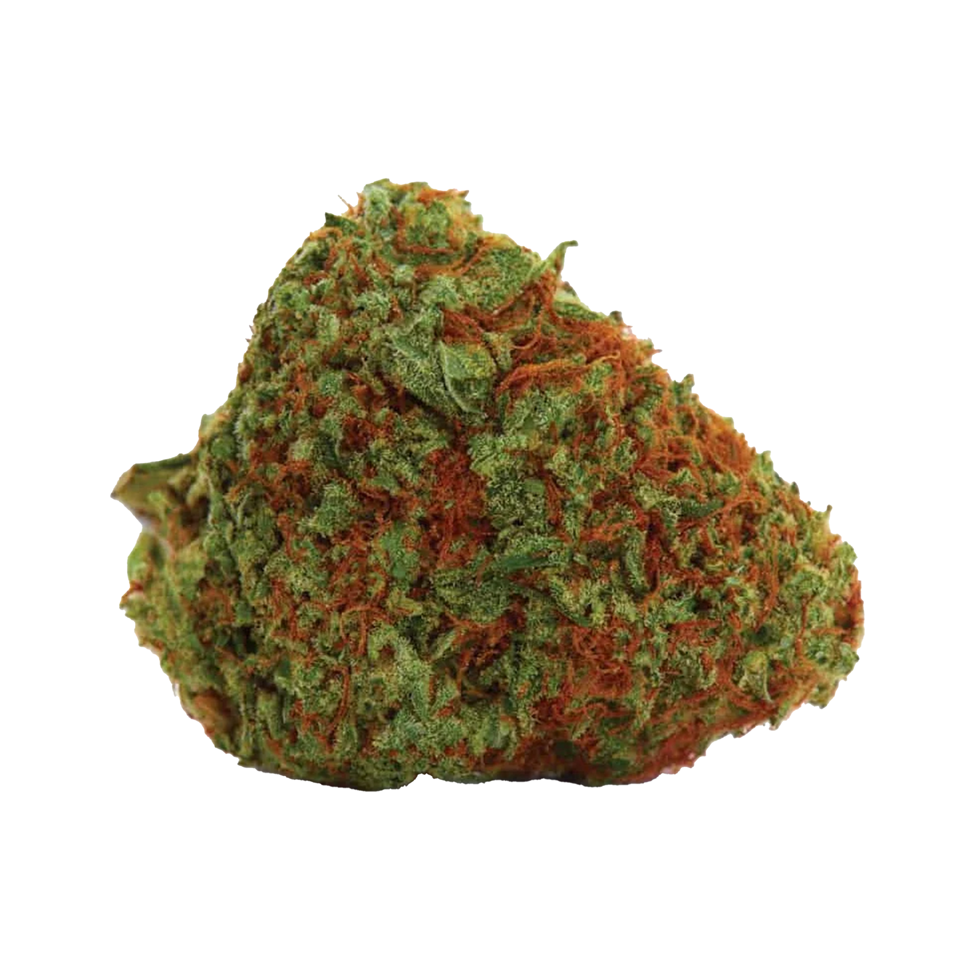 Orange-Bud-Cannabis