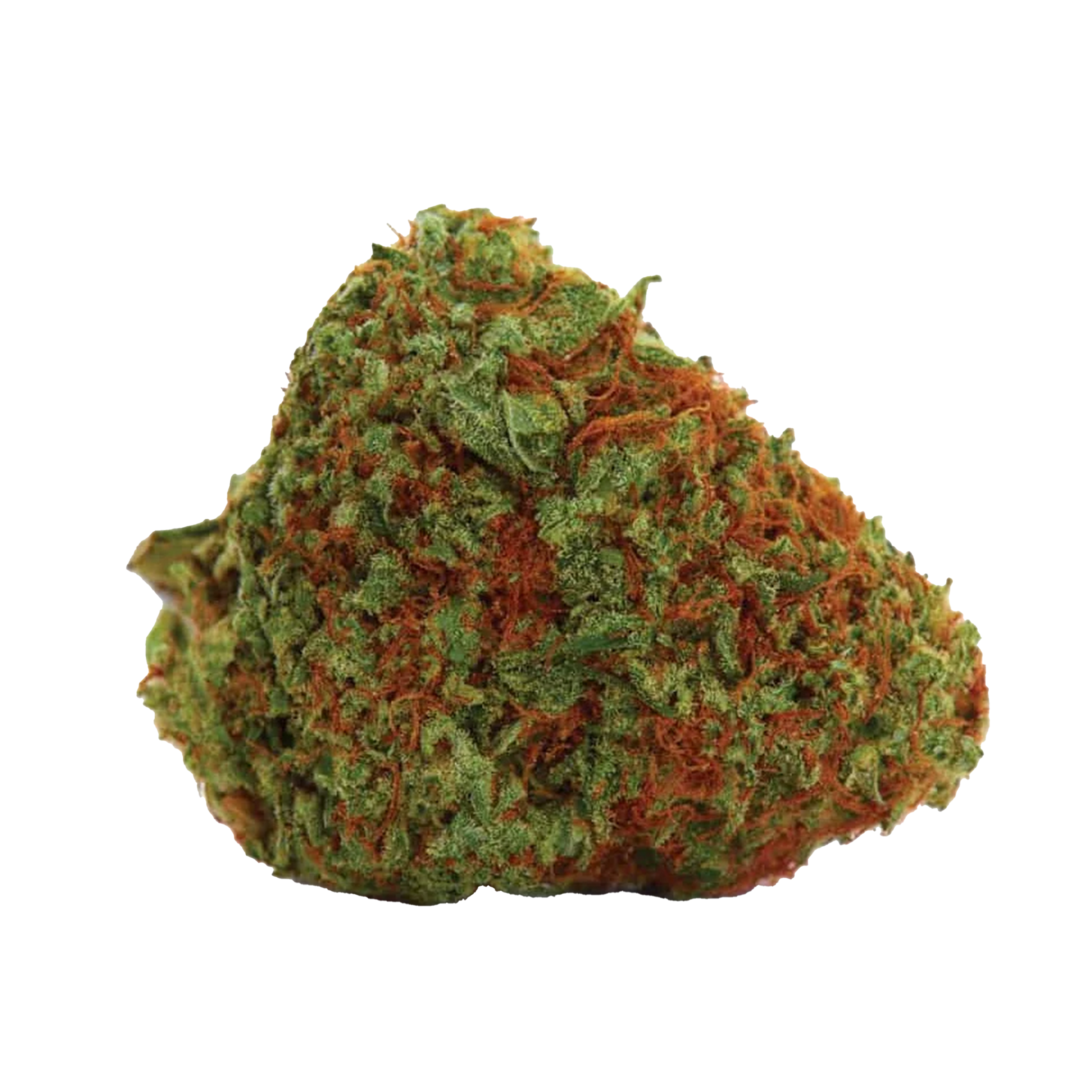 Orange Bud Cannabis Samen Premium THC 22% Produktbild 1