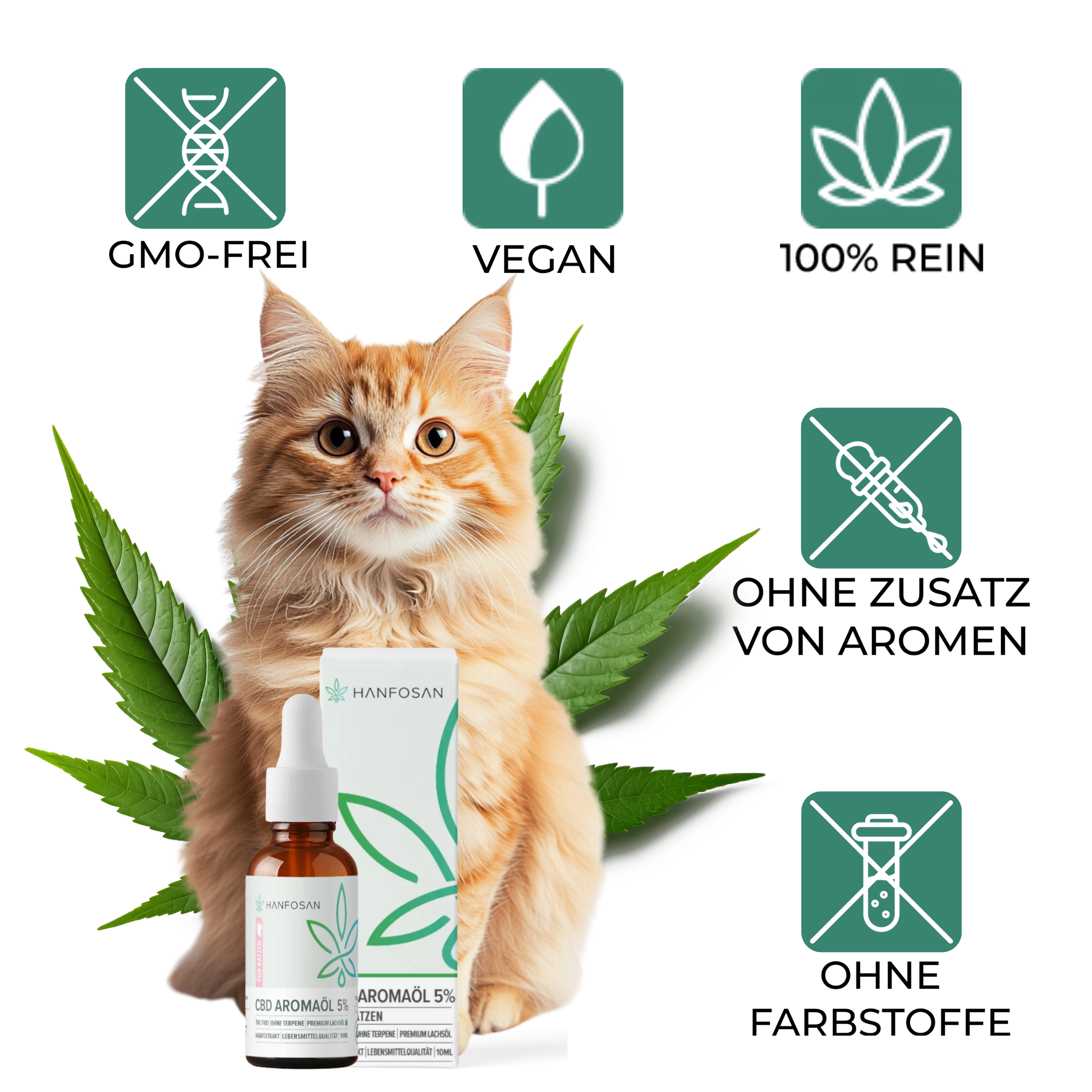 CBD Premium Öl für Katzen 5 % · 10 ml Produktbild 2
