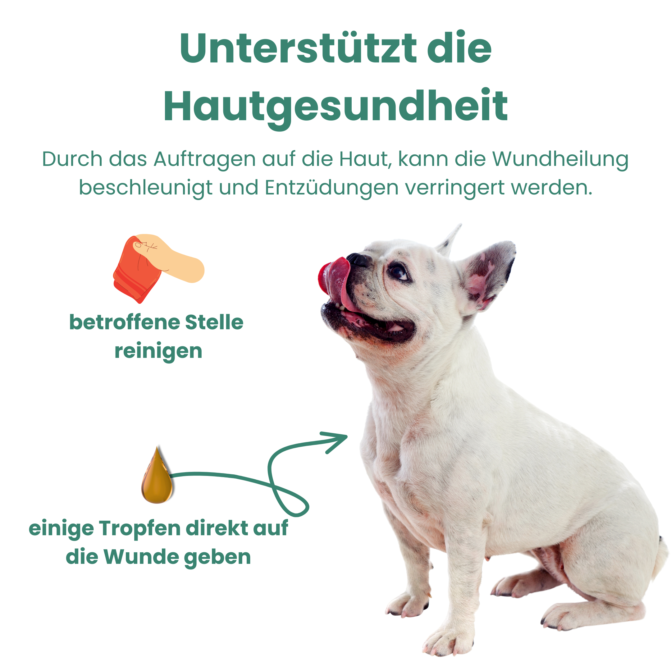 CBD Premium Öl für Hunde 5 % · 10 ml Produktbild 4