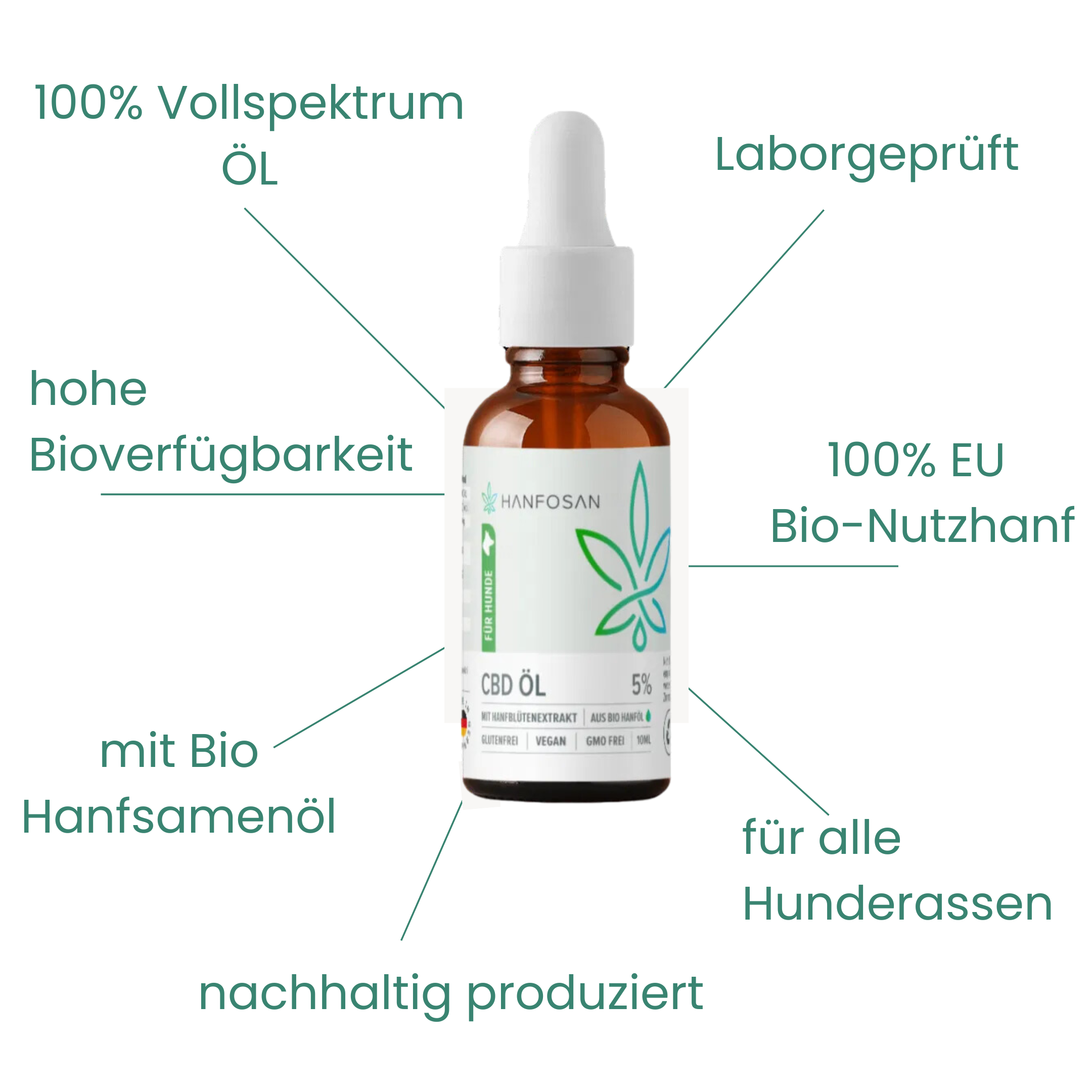 CBD Premium Öl für Hunde 5 % · 10 ml Produktbild 3