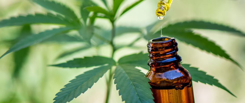 Cannabisöl vs. CBD-Öl – Unterschiede und Anwendungen Tropfen Öl aus einer Pipette in eine Braunglasflasche mit Hanfblatt im Hintergrund – Symbol für Cannabis- und CBD-Öl