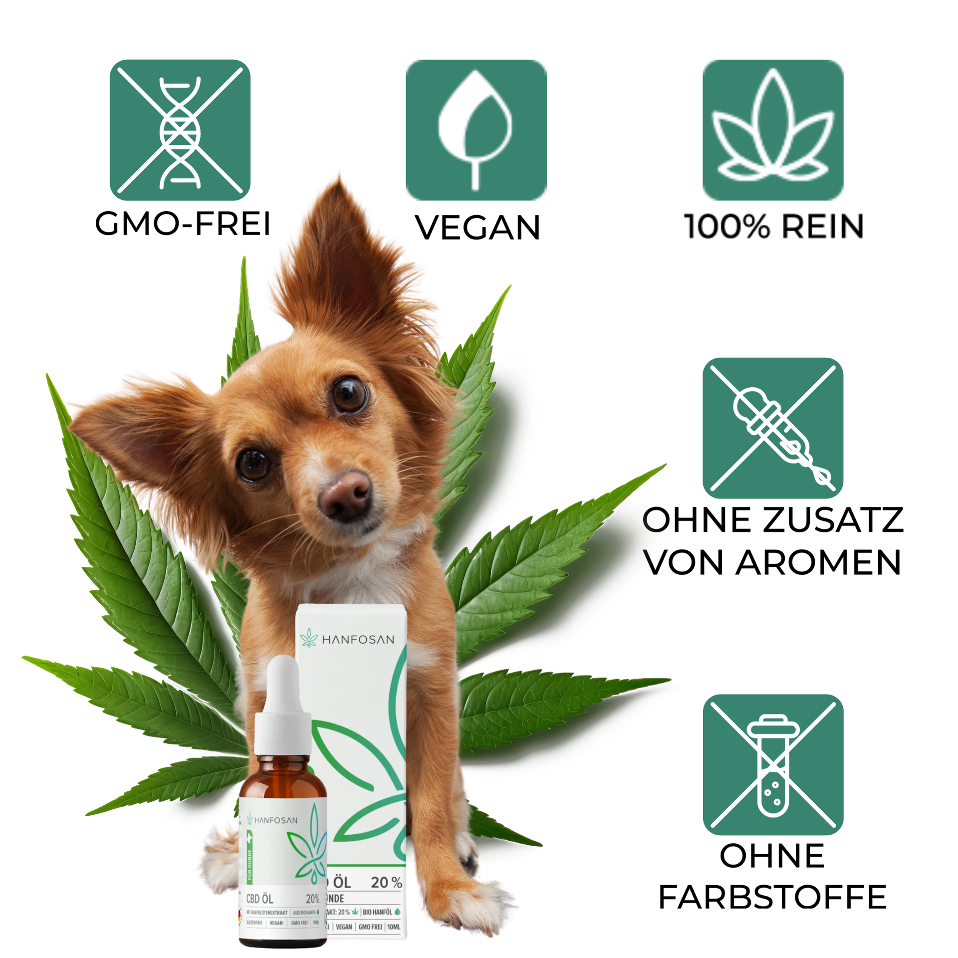 CBD Öl Hunde 20 Prozent Hanfosan