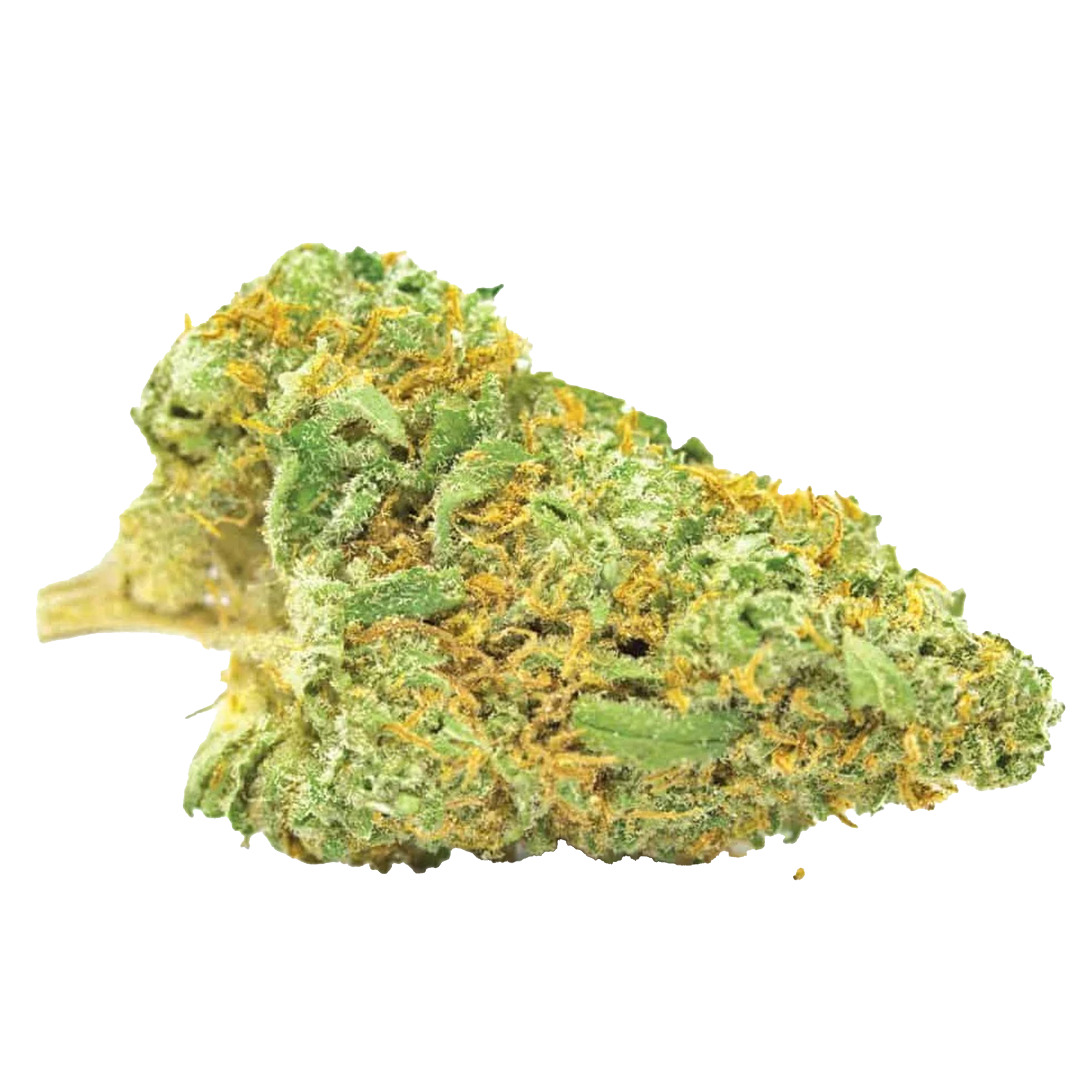Nepal Gold CBD Cannabis Samen Premium THC 7% CBD 10% Produktbild 1