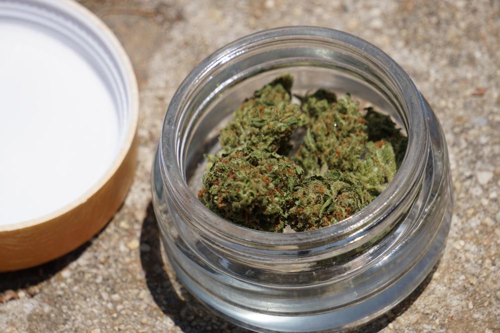 Aromatische CBD-Blüten im Glas – natürlich, schonend getrocknet und handverlesen Geöffneter Glastiegel mit grünen CBD-Blüten auf Steinuntergrund, daneben ein abgenommener Holzdeckel