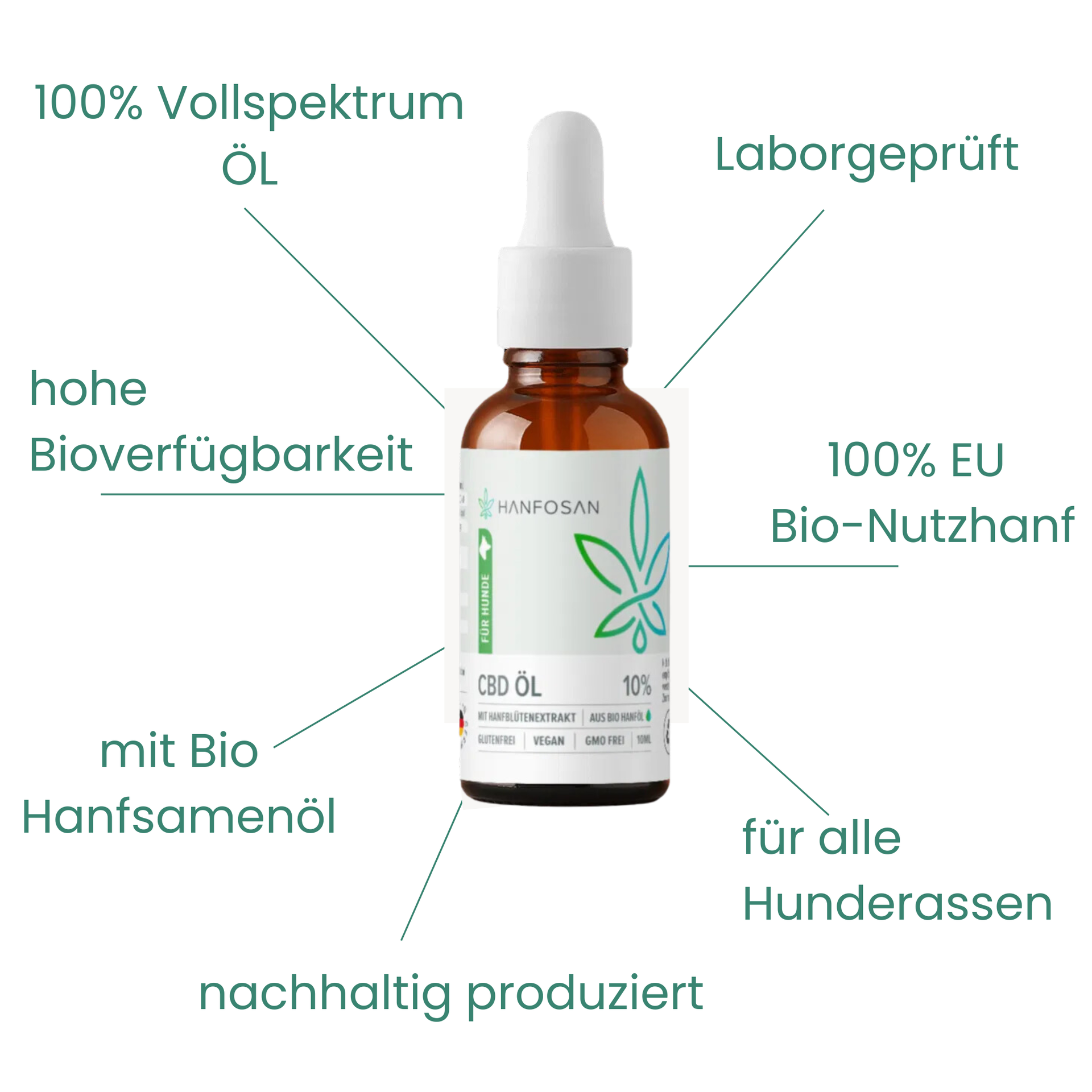 CBD Öl Hunde 10 Prozent Hanfosan