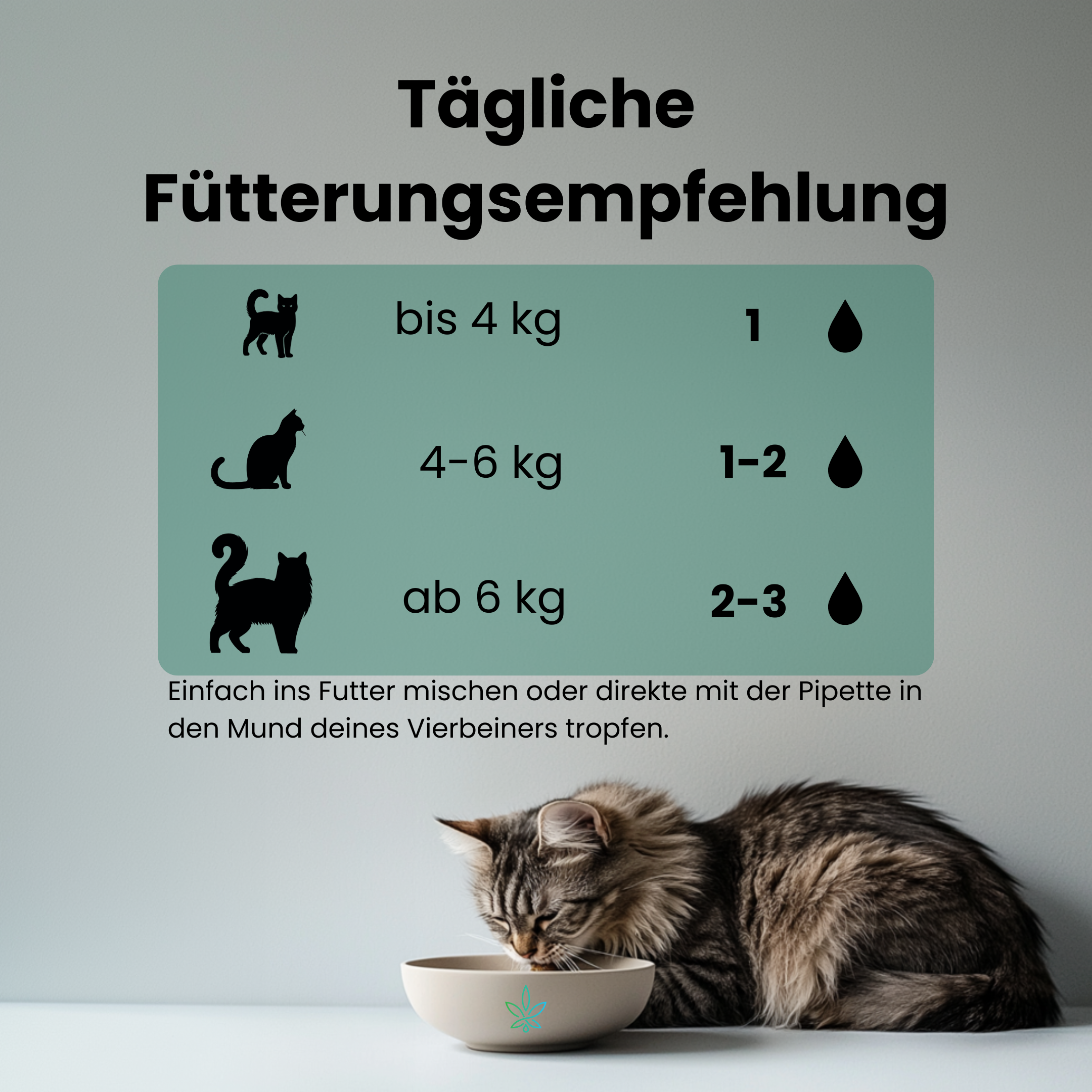 CBD Premium Öl für Katzen 5 % · 10 ml Produktbild 5