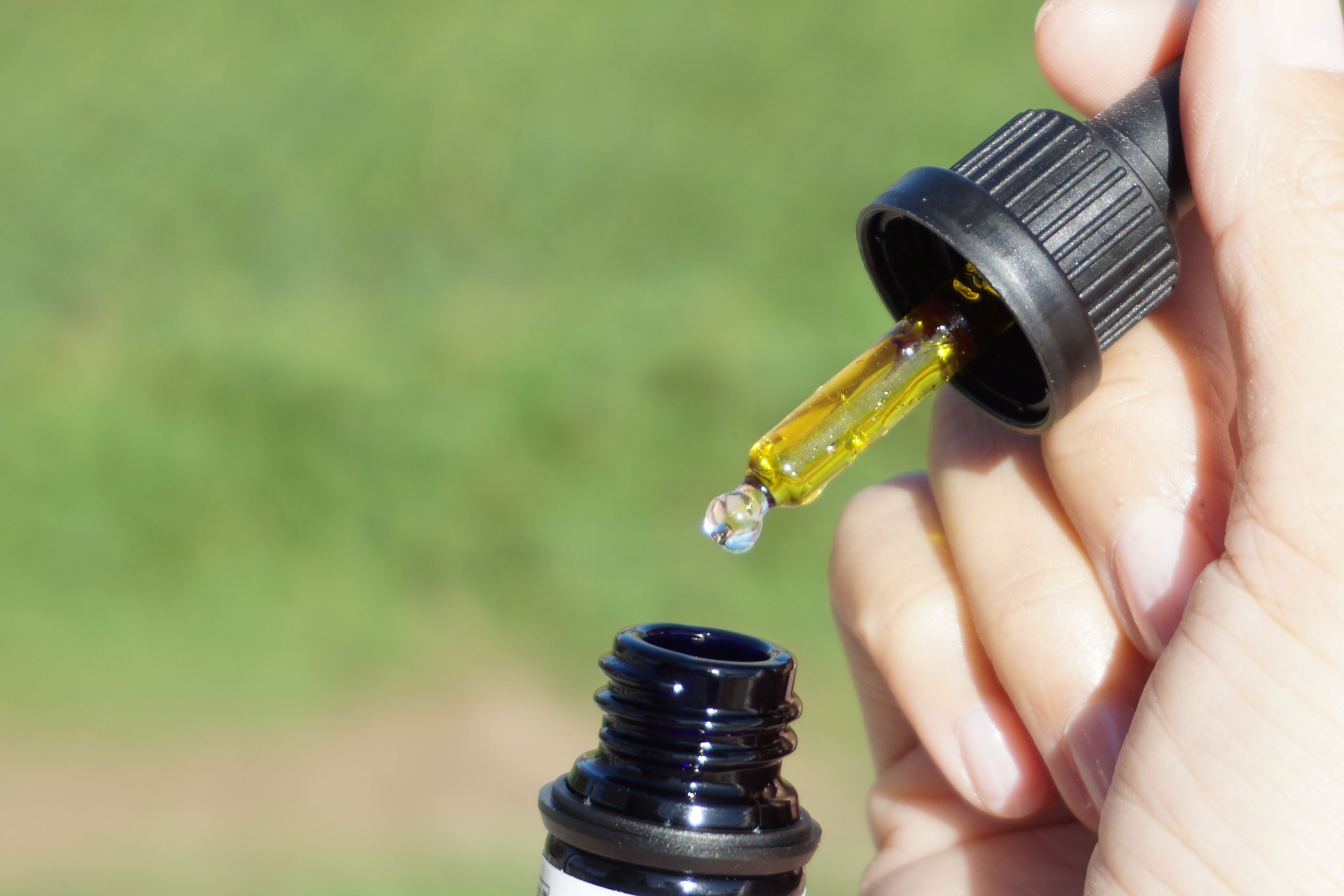 Warum wirkt CBD bei mir nicht? – Ursachen und Lösungsansätze Hand hält eine CBD-Pipette mit Öltröpfchen über einer Flasche – Symbolbild für Wirkungslosigkeit von CBD-Produkten
