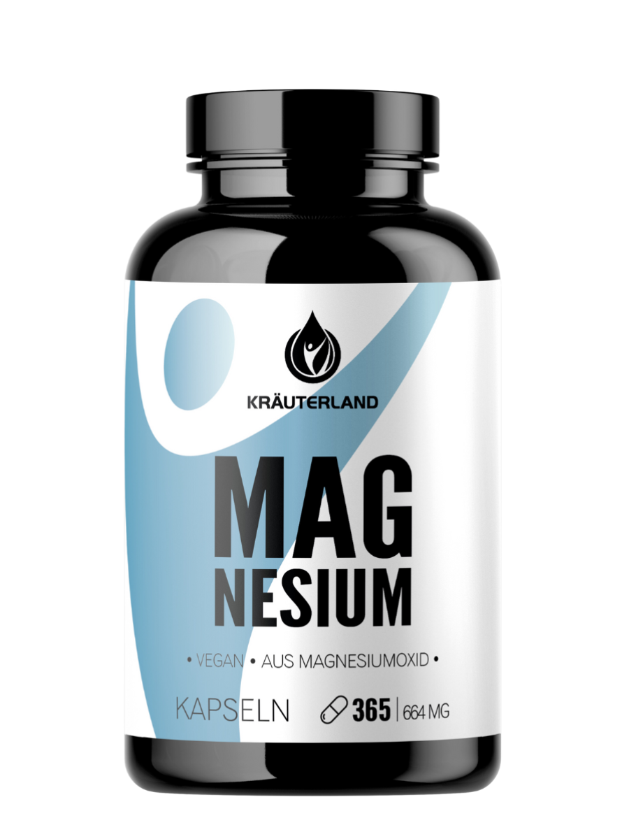 Magnesium Kapseln 400 mg 365 Stück Dose