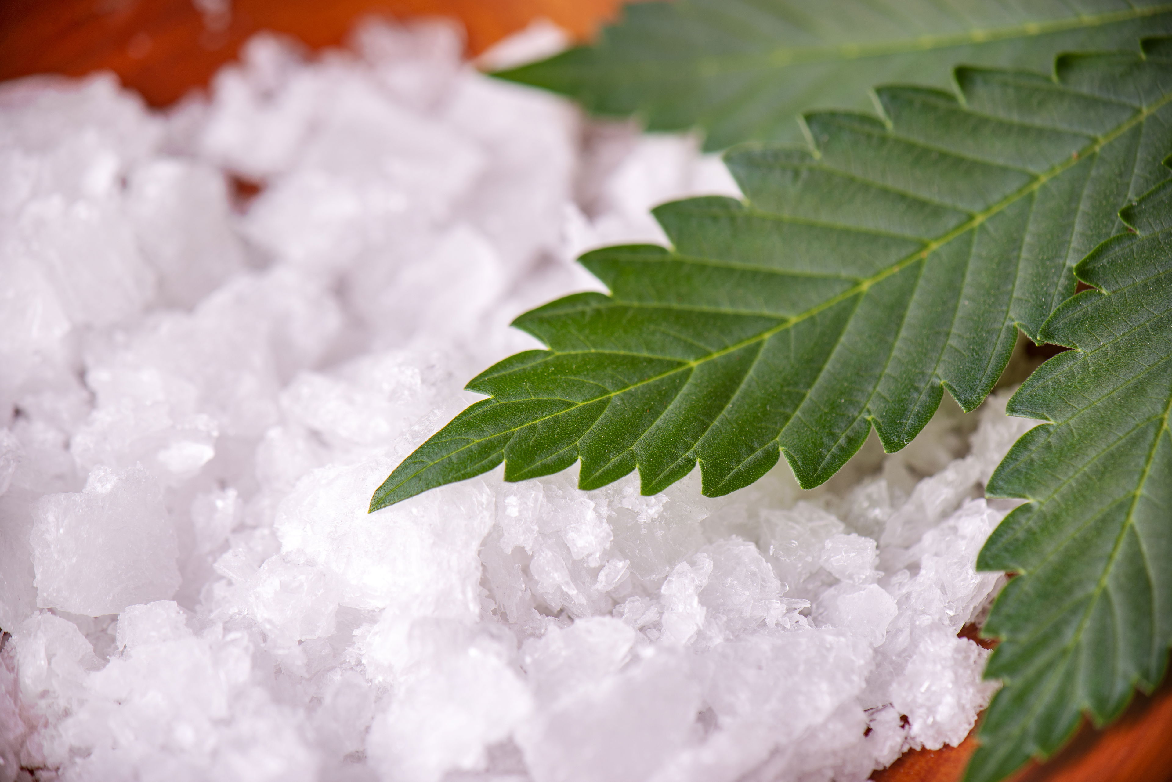 CBD-Vollspektrum-Öl vs. CBD-Isolat – Sichtbarer Unterschied Nahaufnahme einer Hanfpflanze und weißer CBD-Kristalle in einer Schale – symbolisch für den Unterschied zwischen CBD-Vollspektrum-Öl und CBD-Isolat.