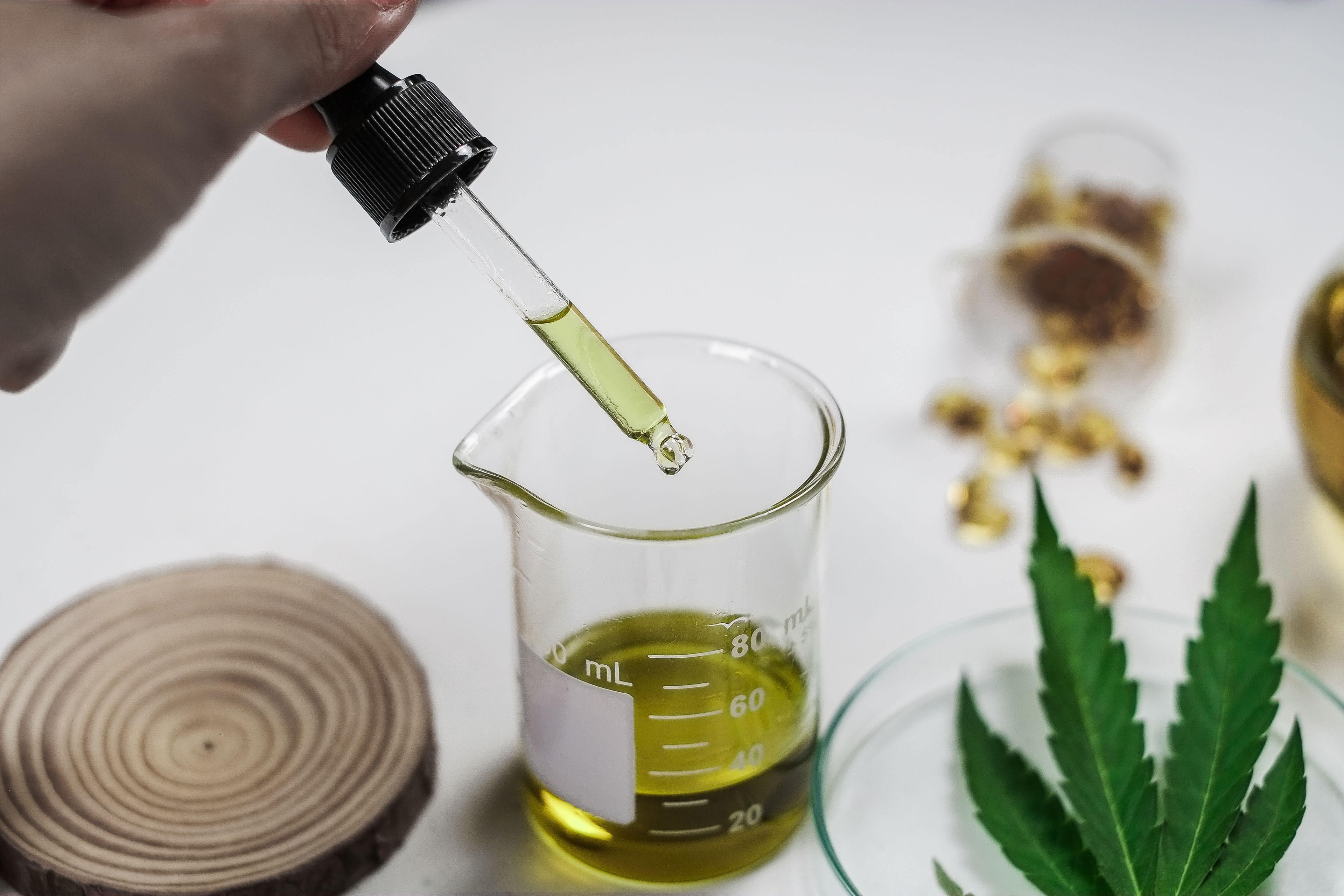 Herstellung von CBD Öl im Labor Pipette mit CBD Öl über einem Messbecher im Labor mit Hanfblatt und Kapseln im Hintergrund