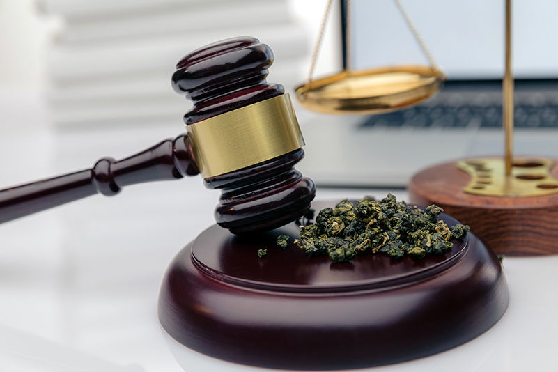 Richterhammer und Waage mit Hanfblüten als Symbol für die CBD-Gesetzgebung in Europa