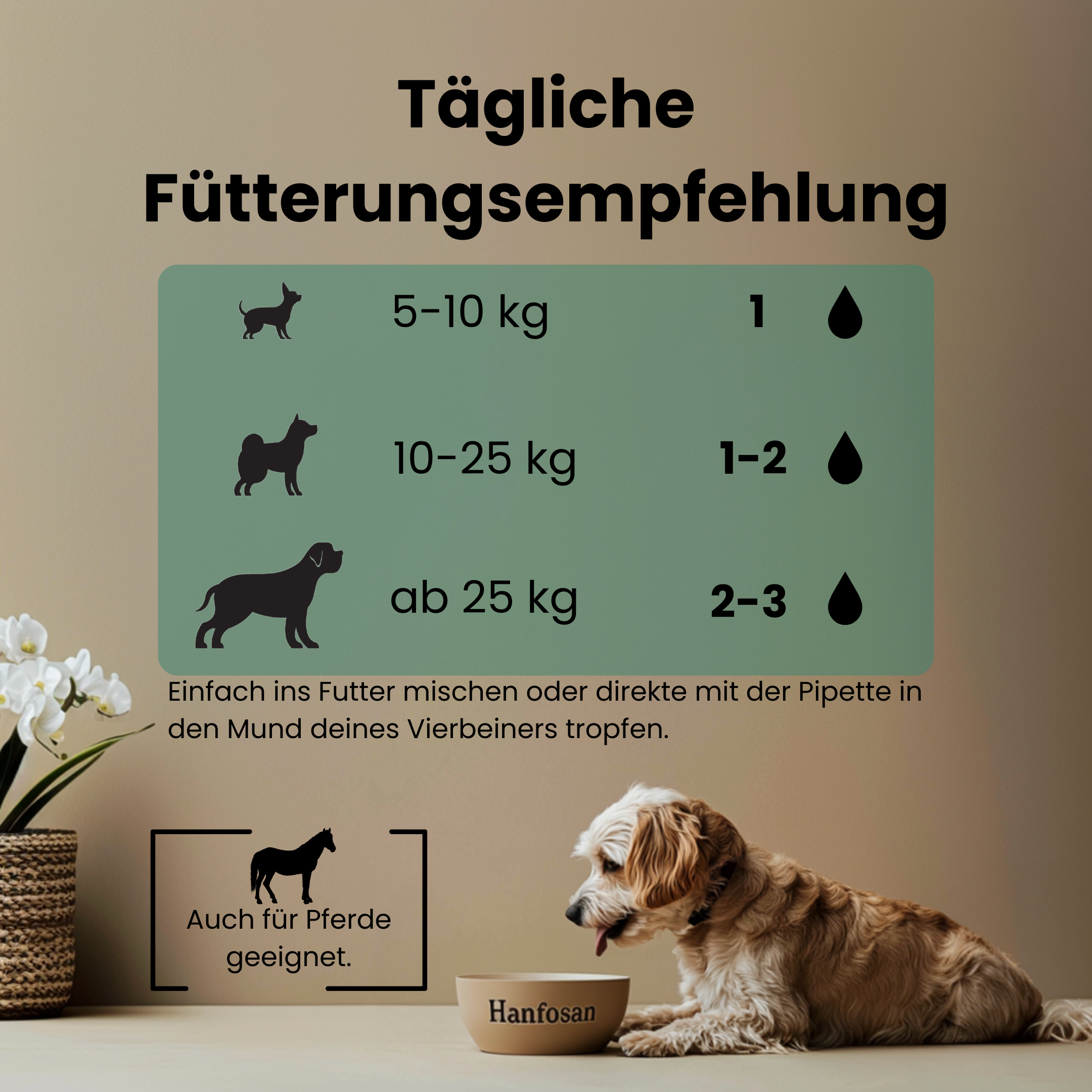 CBD Premium Öl für Hunde 20 % · 10 ml Produktbild 5