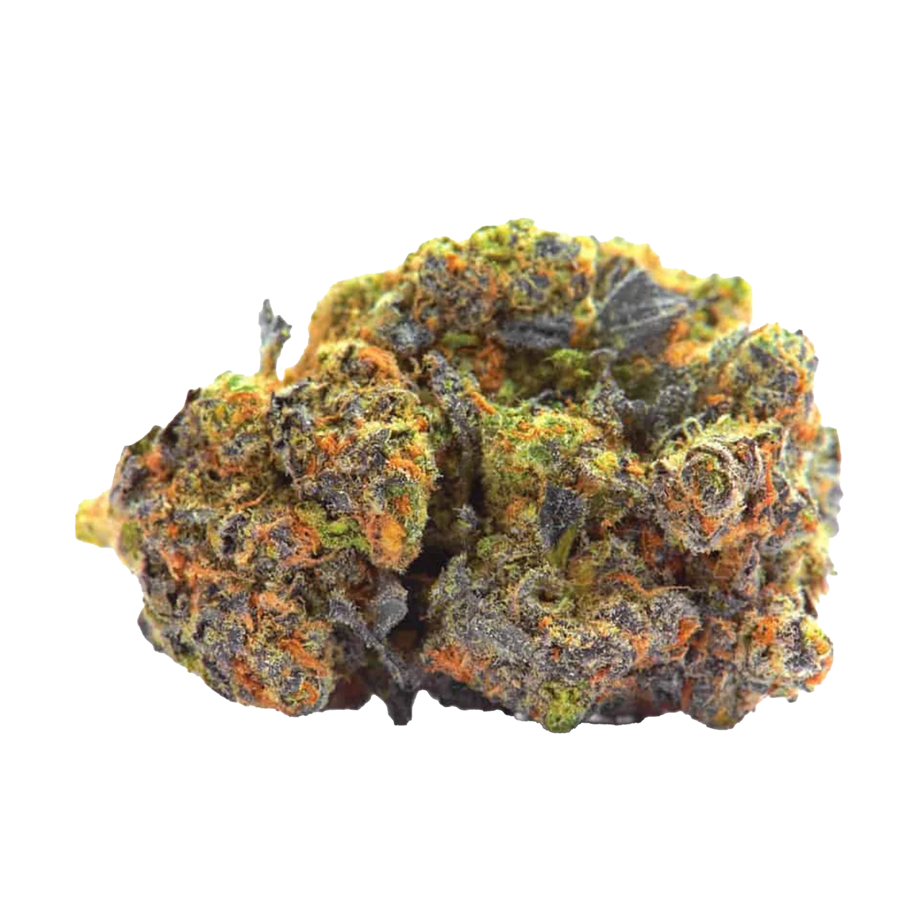 Lavender Cannabis Samen Premium THC 20% Produktbild 1