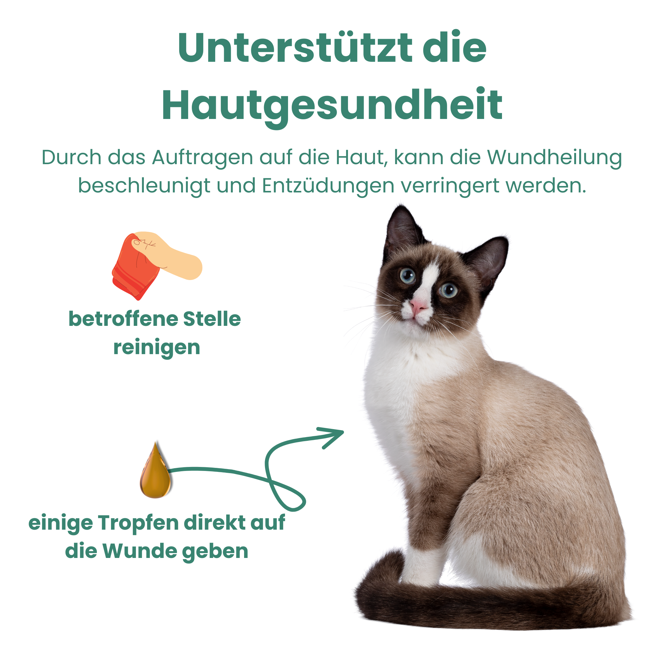 CBD Premium Öl für Katzen 5 % · 10 ml Produktbild 4