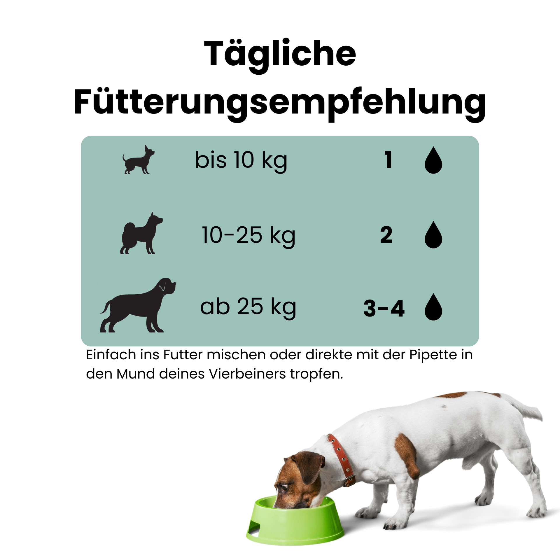 CBD Öl Hunde 10 Prozent Hanfosan