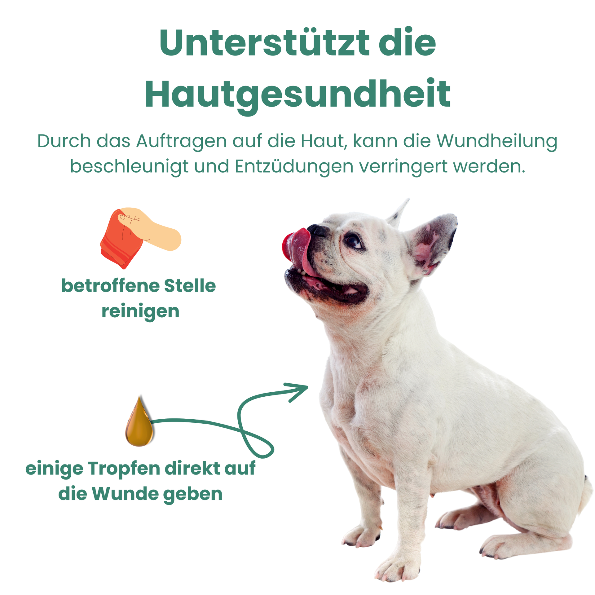 CBD Öl Hunde 10 Prozent Hanfosan