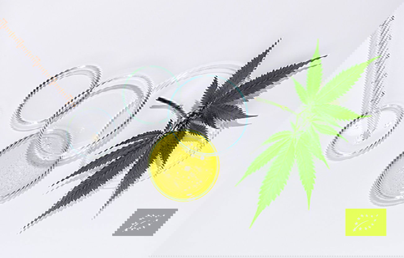 Laborgeprüftes CBD-Öl aus Bio-Hanf – Qualität von Hanfosan Hanfblatt, gelbes Öl und Laborutensilien auf weißem Hintergrund mit EU-Bio-Siegel