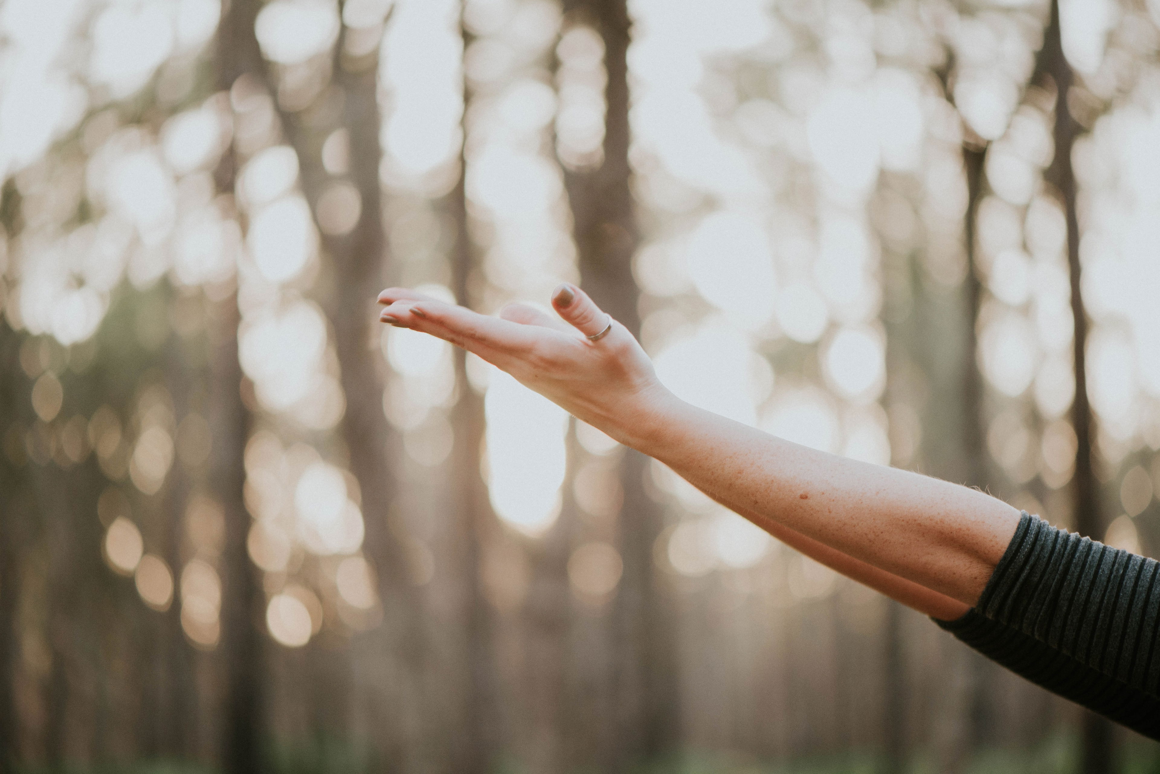 Gestreckter Arm mit geöffneter Handfläche vor unscharfem, sonnendurchflutetem Waldhintergrund – Sinnbild für Entspannung, Loslassen und Naturverbundenheit.