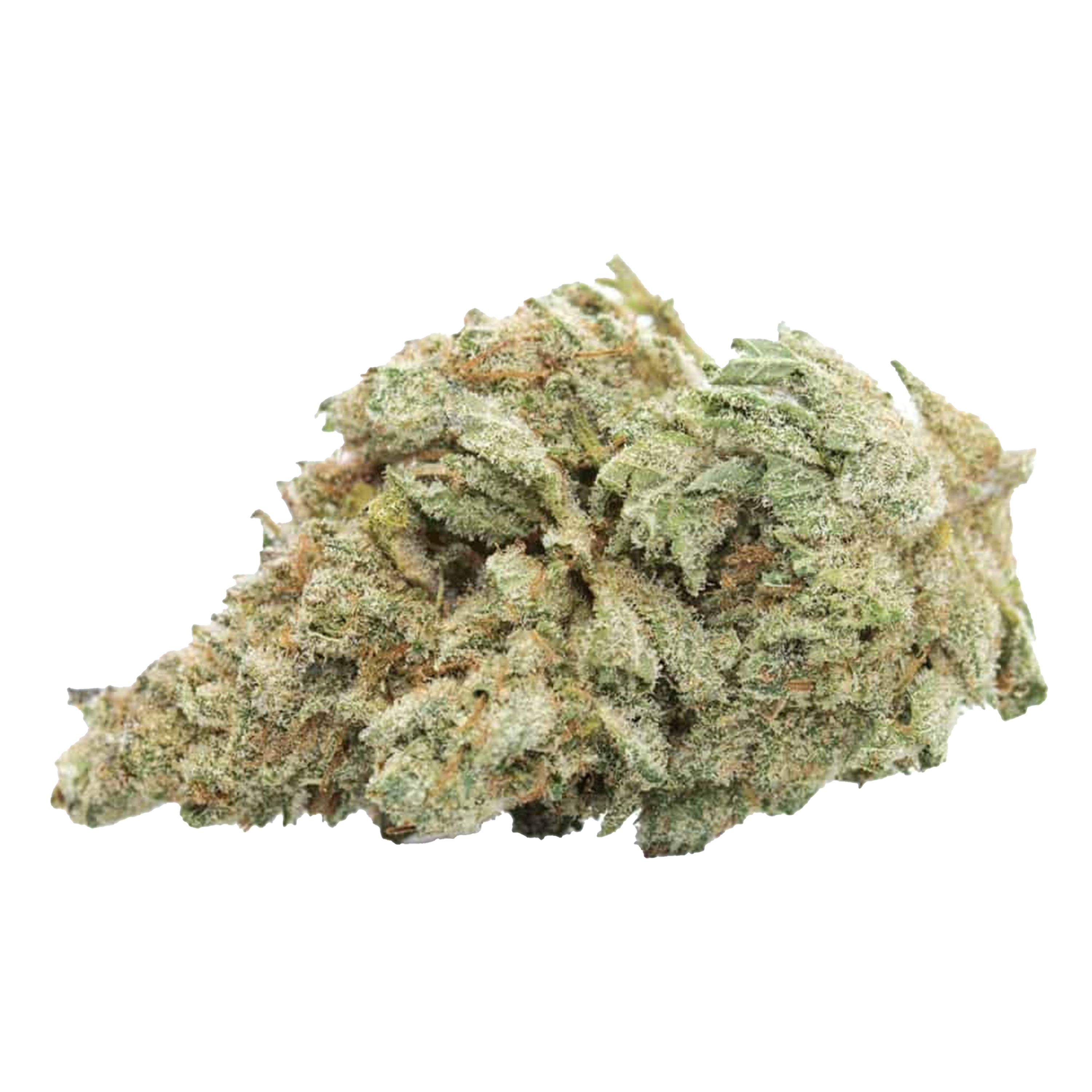 White Widow Cannabis Samen Premium THC 21% Produktbild 1