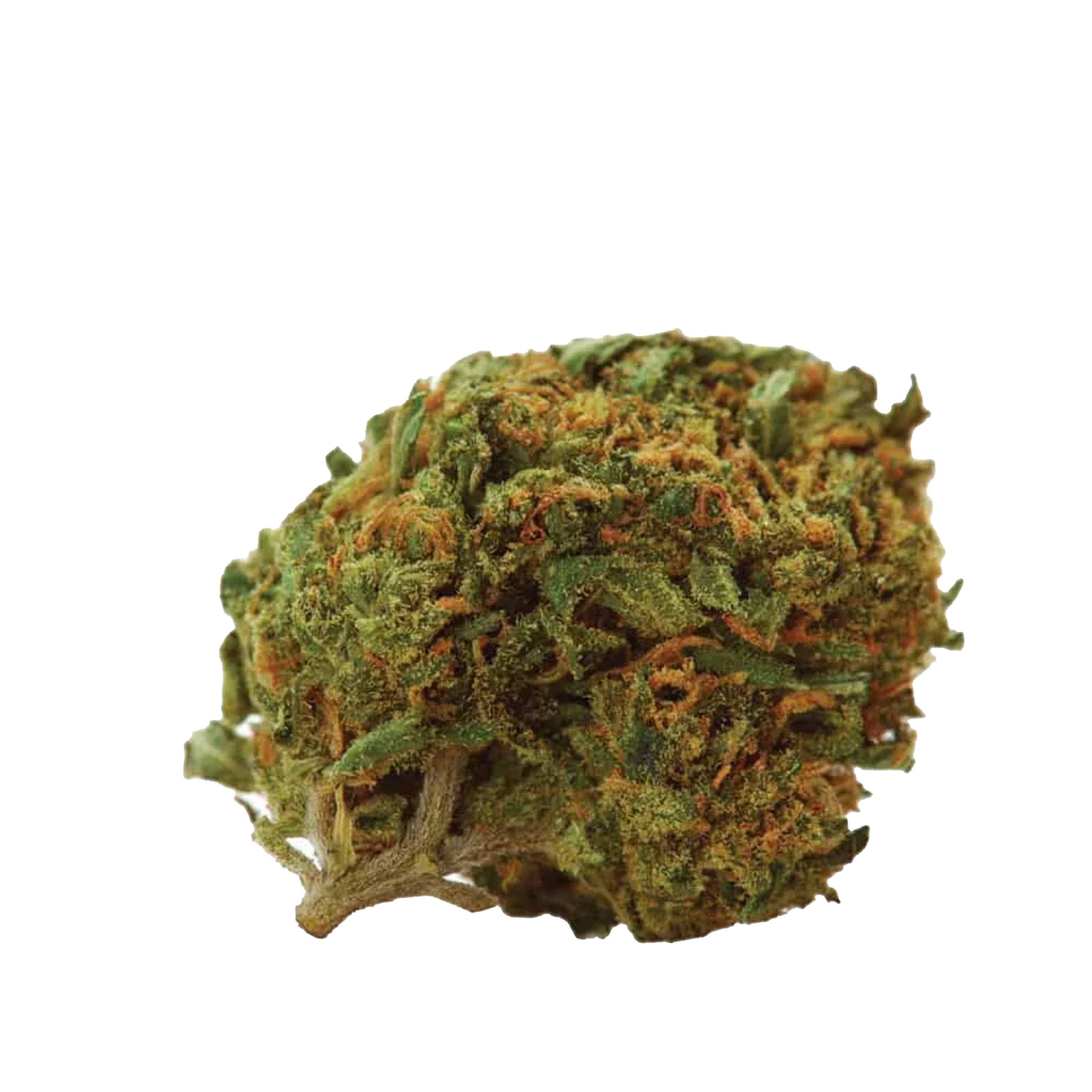 Durban Cannabis Samen Premium THC 12% Produktbild 1
