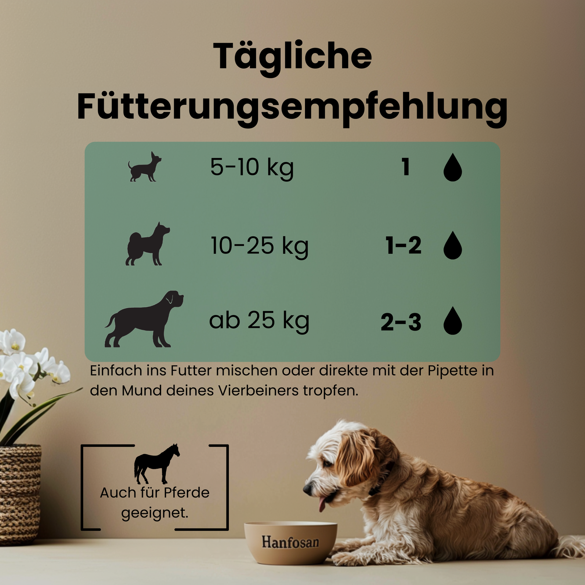 CBD Öl Hunde 20 Prozent Hanfosan