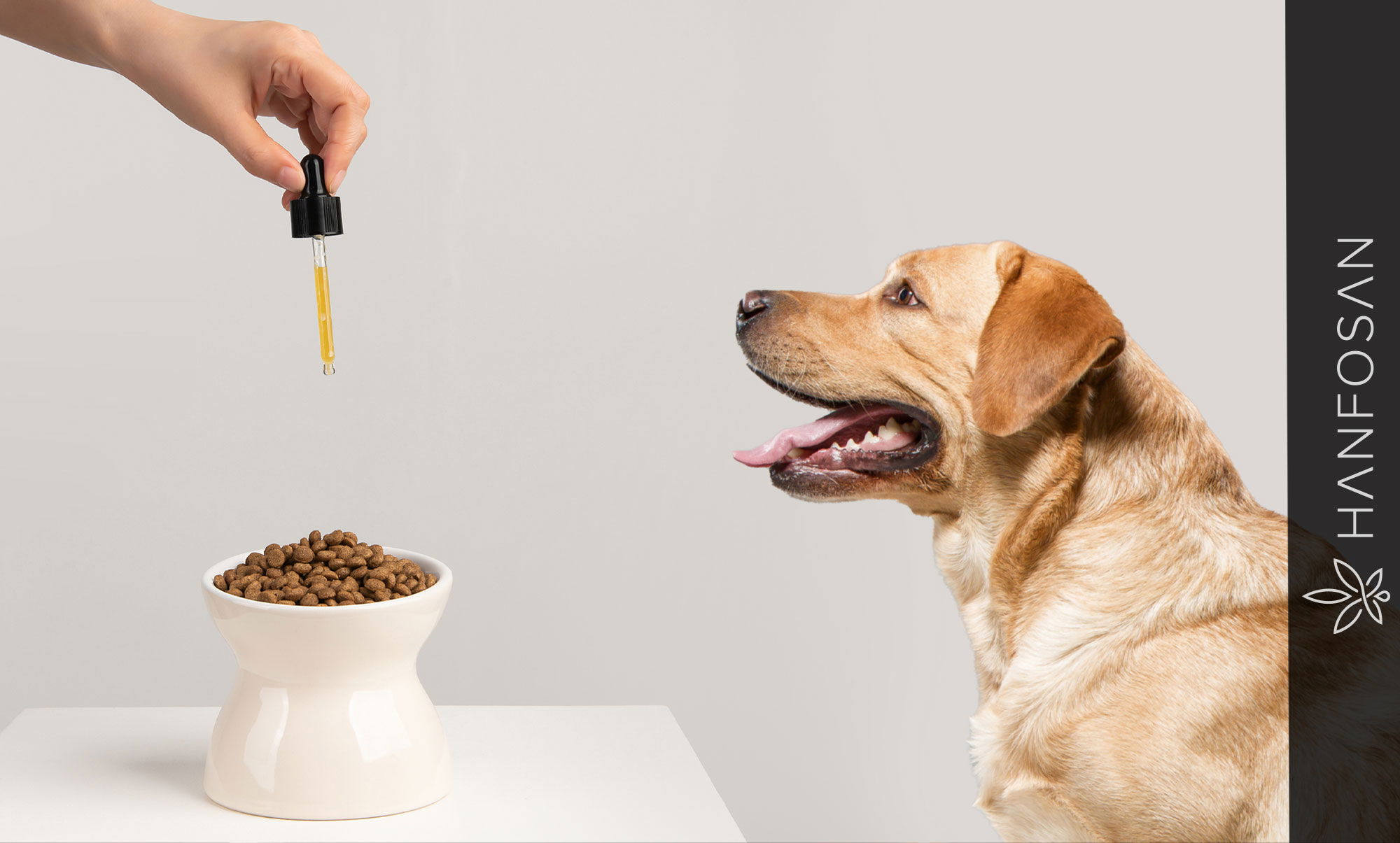 CBD Öl Hund Dosierung – Richtige Menge einfach erklärt CBD Öl Hund Dosierung – Richtige Menge einfach erklärt