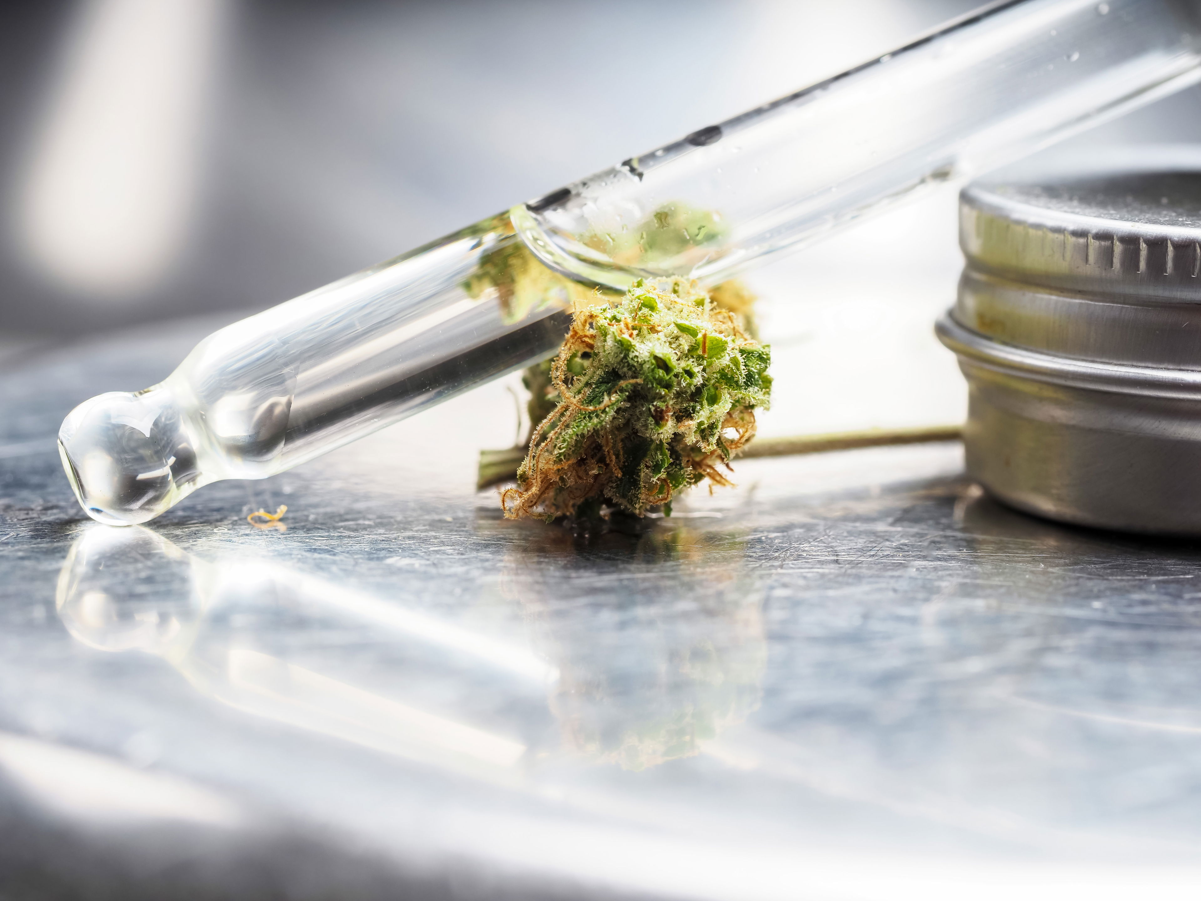 Synthetische Cannabinoide – Risiken und Unterschiede zu natürlichen Extrakten Pipette mit klarer Flüssigkeit und Cannabisblüte auf Metalloberfläche – Symbol für synthetische Cannabinoide