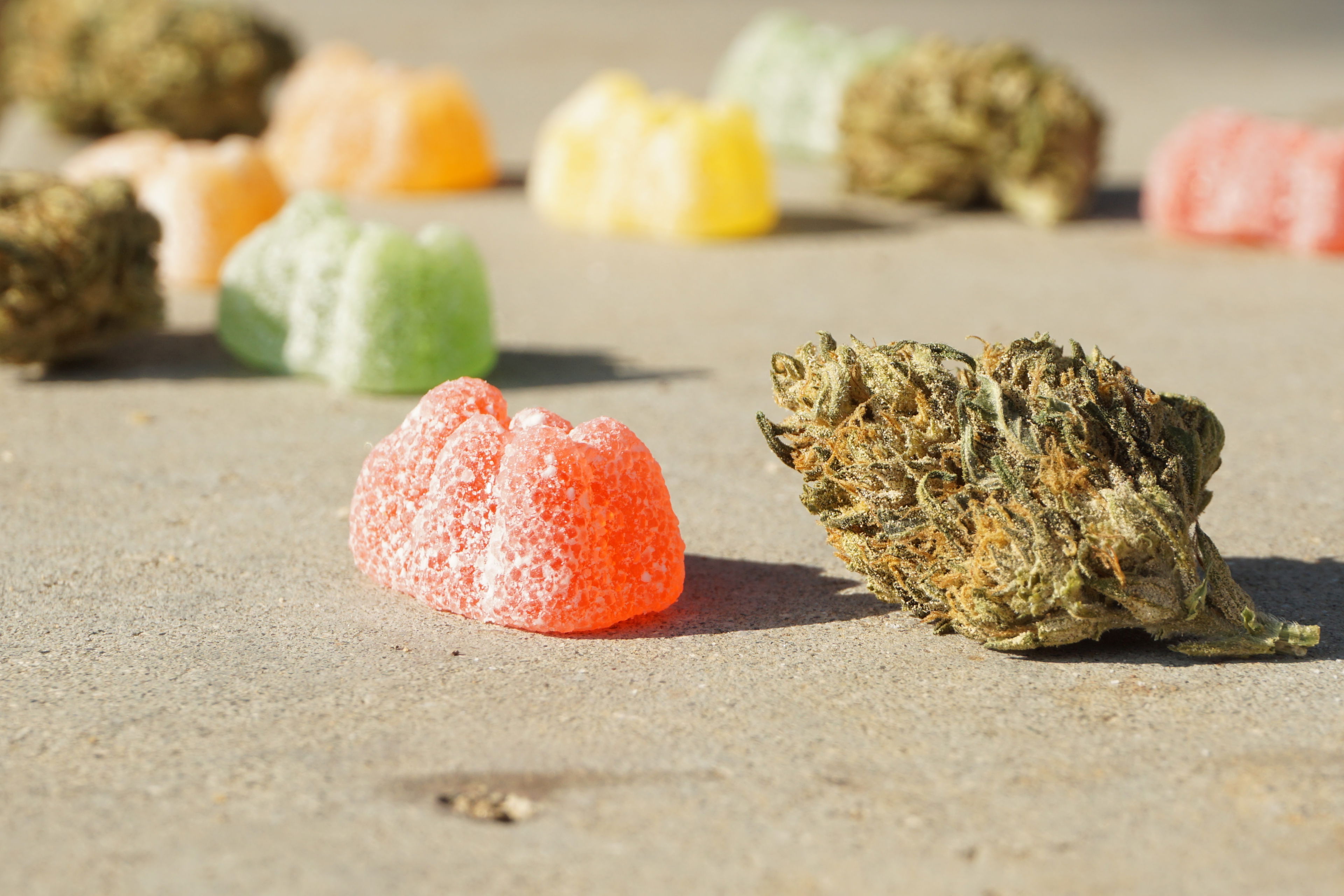 CBD-Edibles: Süße Hanfprodukte für Genuss und Wohlbefinden Bunte Fruchtgummis und eine Hanfblüte auf einer Steinoberfläche – CBD-Edibles im Fokus