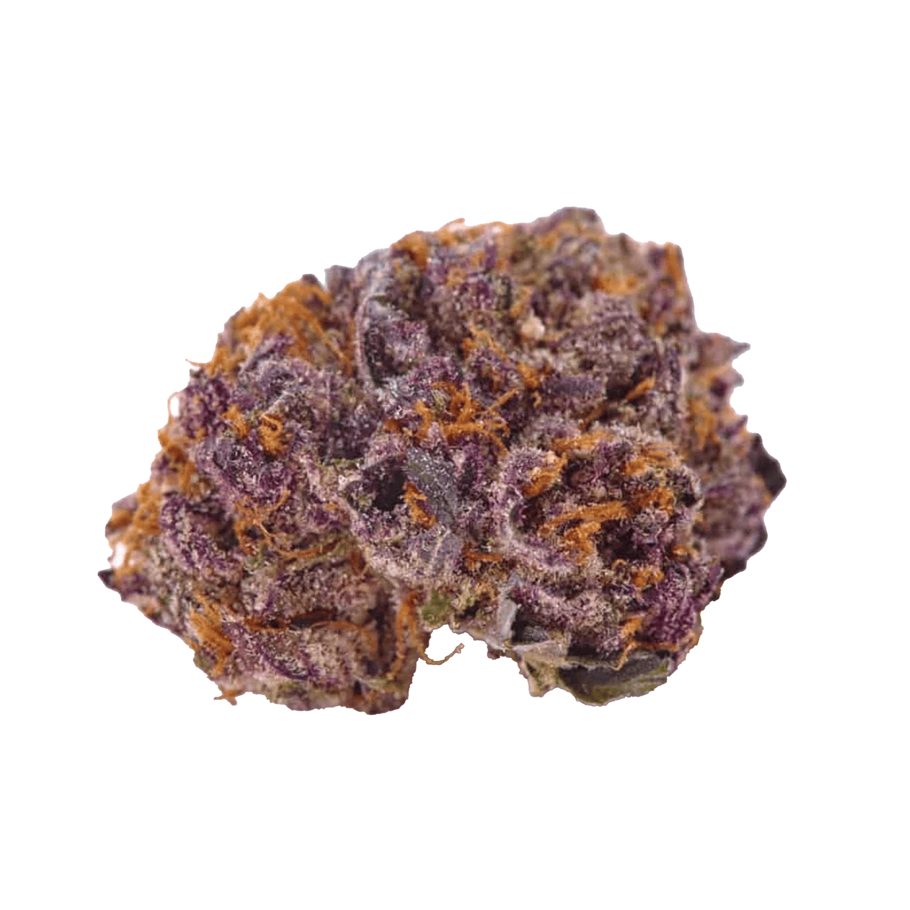 Purple Kush Cannabis Samen Premium THC 21% Produktbild 1
