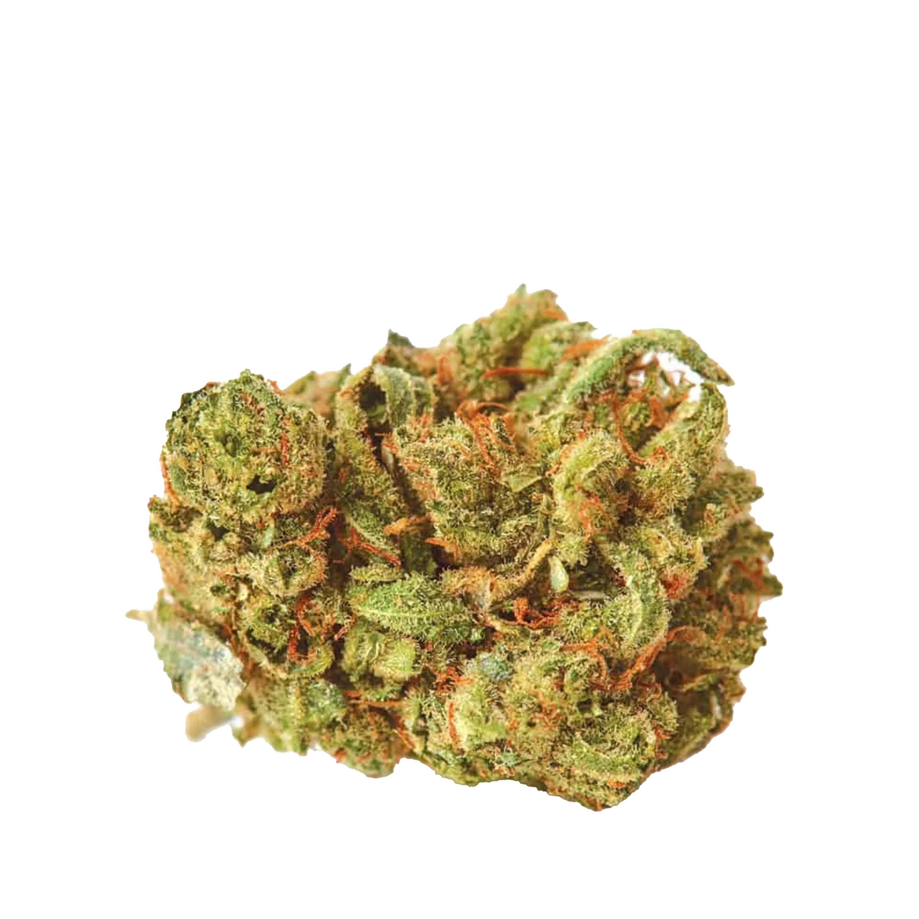 Amnesia Cannabis Samen Premium THC 25% Produktbild 1