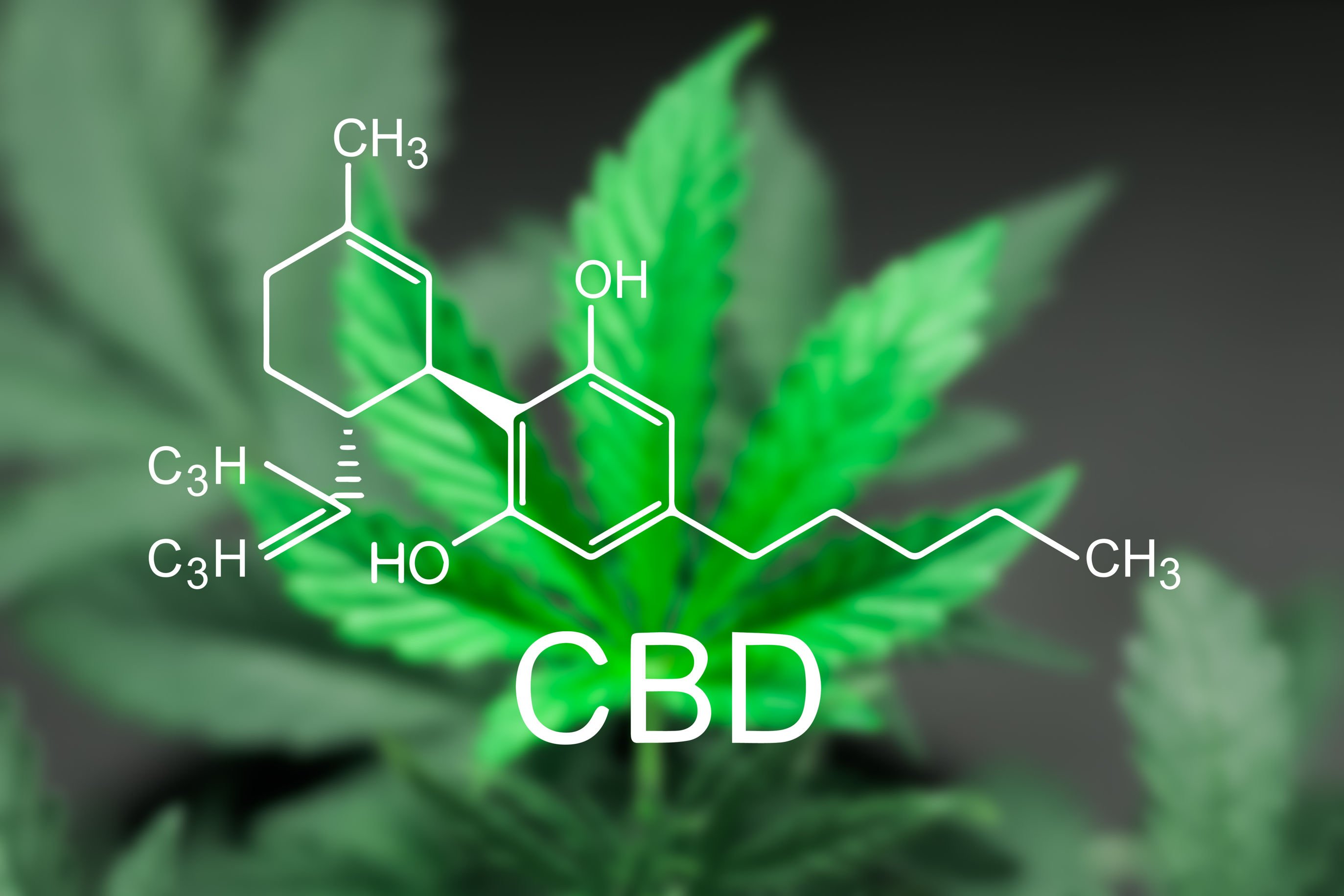 CBD – Chemische Struktur vor Hanfhintergrund Chemische Strukturformel von Cannabidiol (CBD) über einem grünen Hanfblatt – Symbolbild für den Wirkstoff aus der Hanfpflanze.
