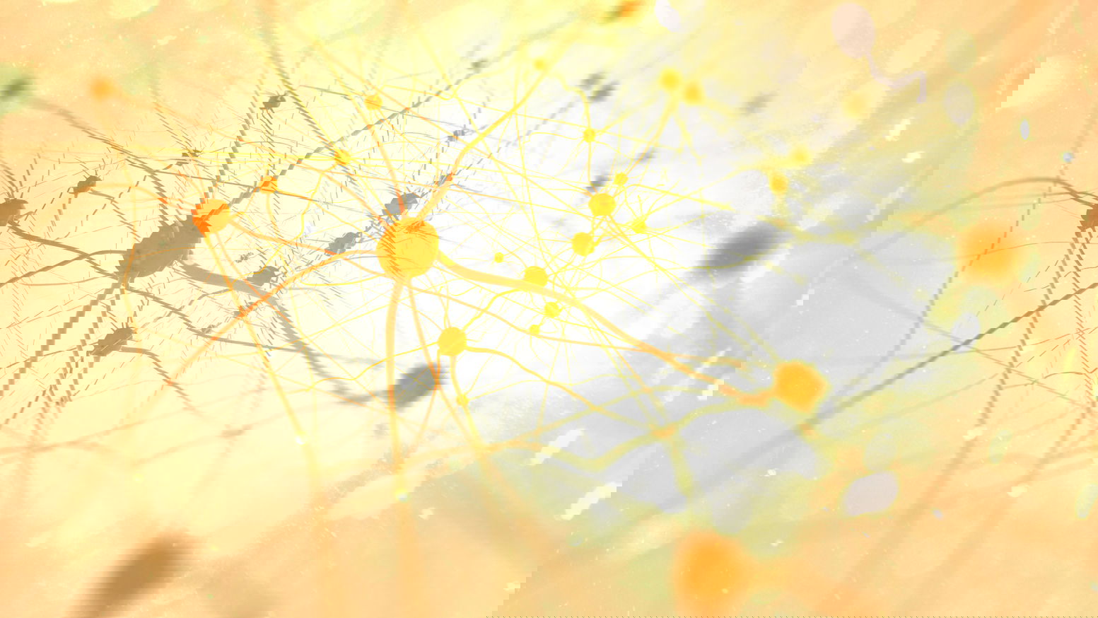 Das Endocannabinoid-System – Schlüssel zur Wirkung von CBD im Körper Abstrakte Darstellung von Nervenzellen und Synapsen in warmem Licht – symbolisiert das Endocannabinoid-System im menschlichen Körper