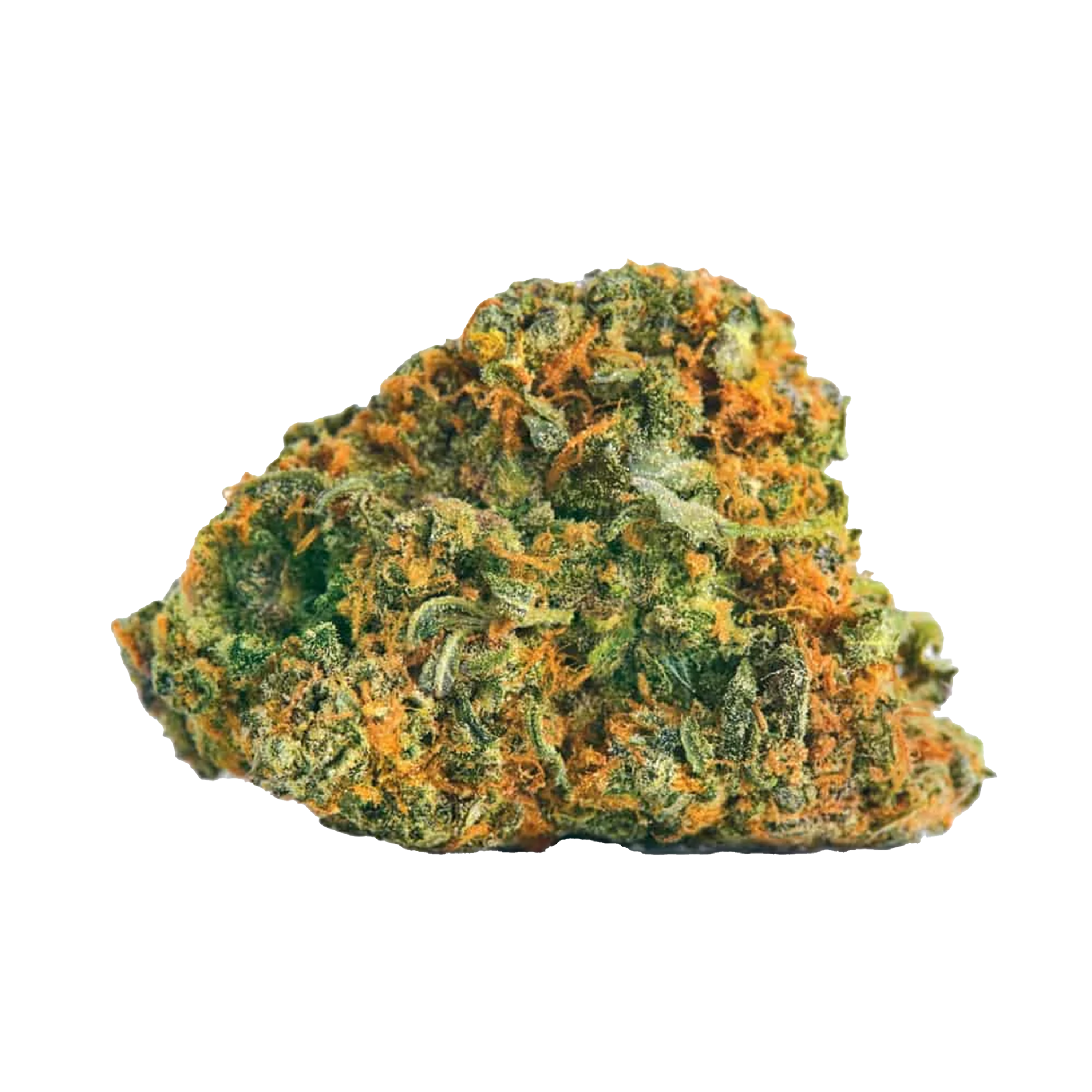 Guerilla Cannabis Samen Premium THC 30% Produktbild 1