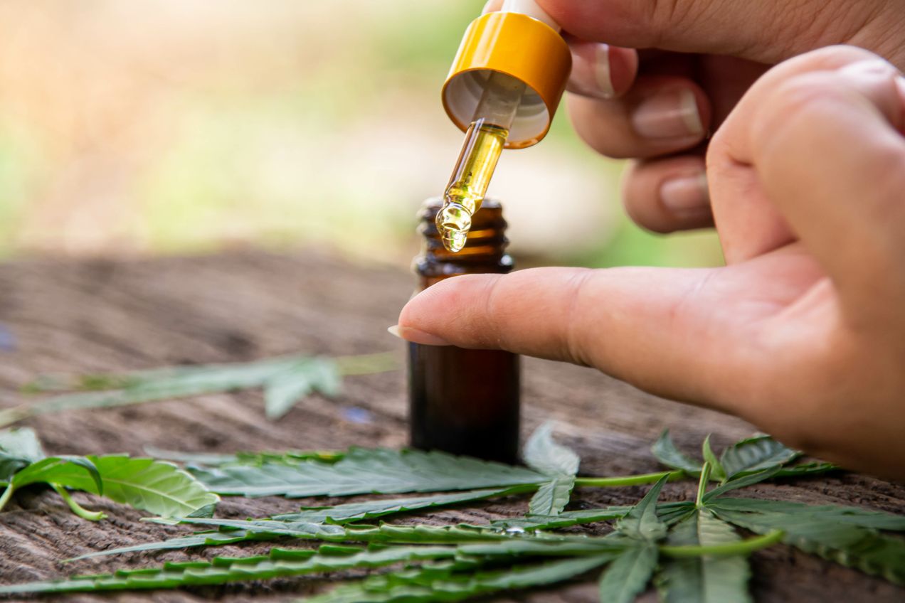 Sanfte Pflege bei Neurodermitis – CBD-Öl für gereizte Haut Nahaufnahme einer Hand, auf die mithilfe einer Pipette CBD-Öl geträufelt wird, im Hintergrund Hanfblätter und eine braune Glasflasche auf Holz