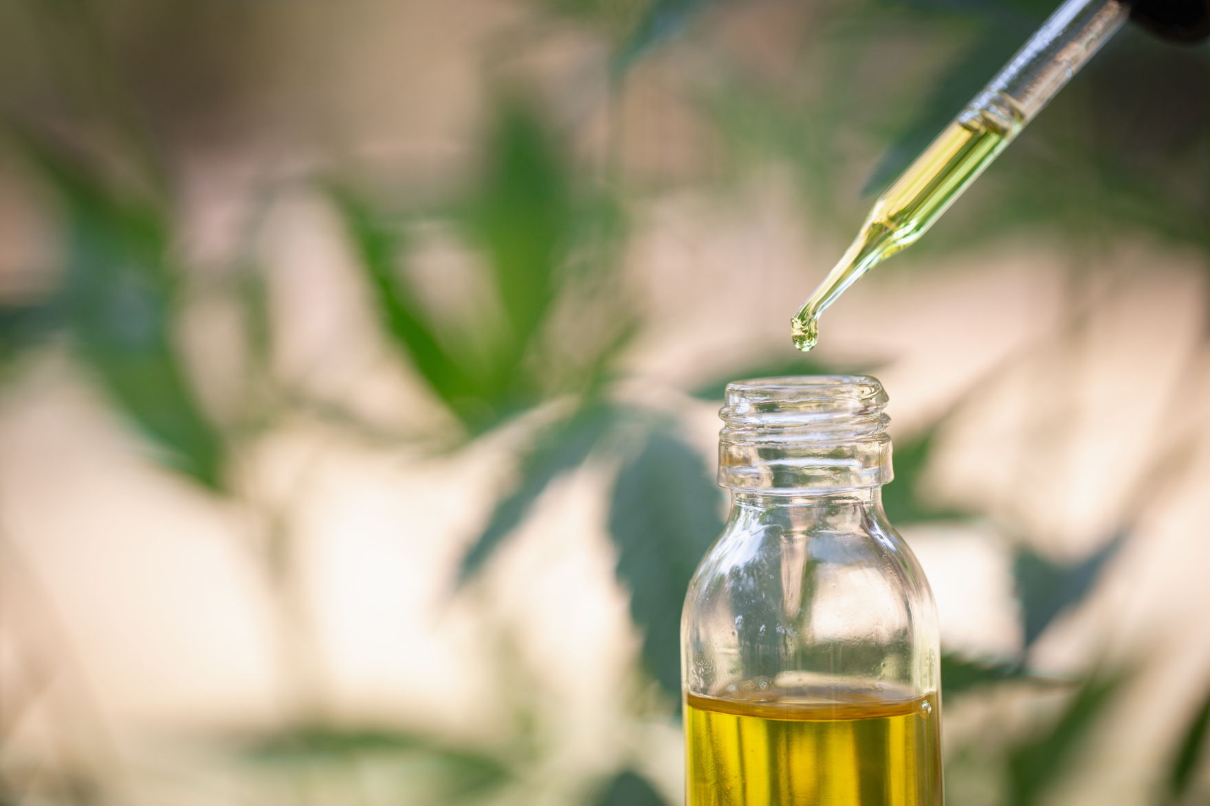 CBD-Öl richtig anwenden – Tropfen für Tropfen wirksam dosieren Pipette mit CBD-Öl über einer Flasche, Tropfen kurz vor dem Herunterfallen – symbolisiert präzise Anwendung und Dosierung von Hanföl