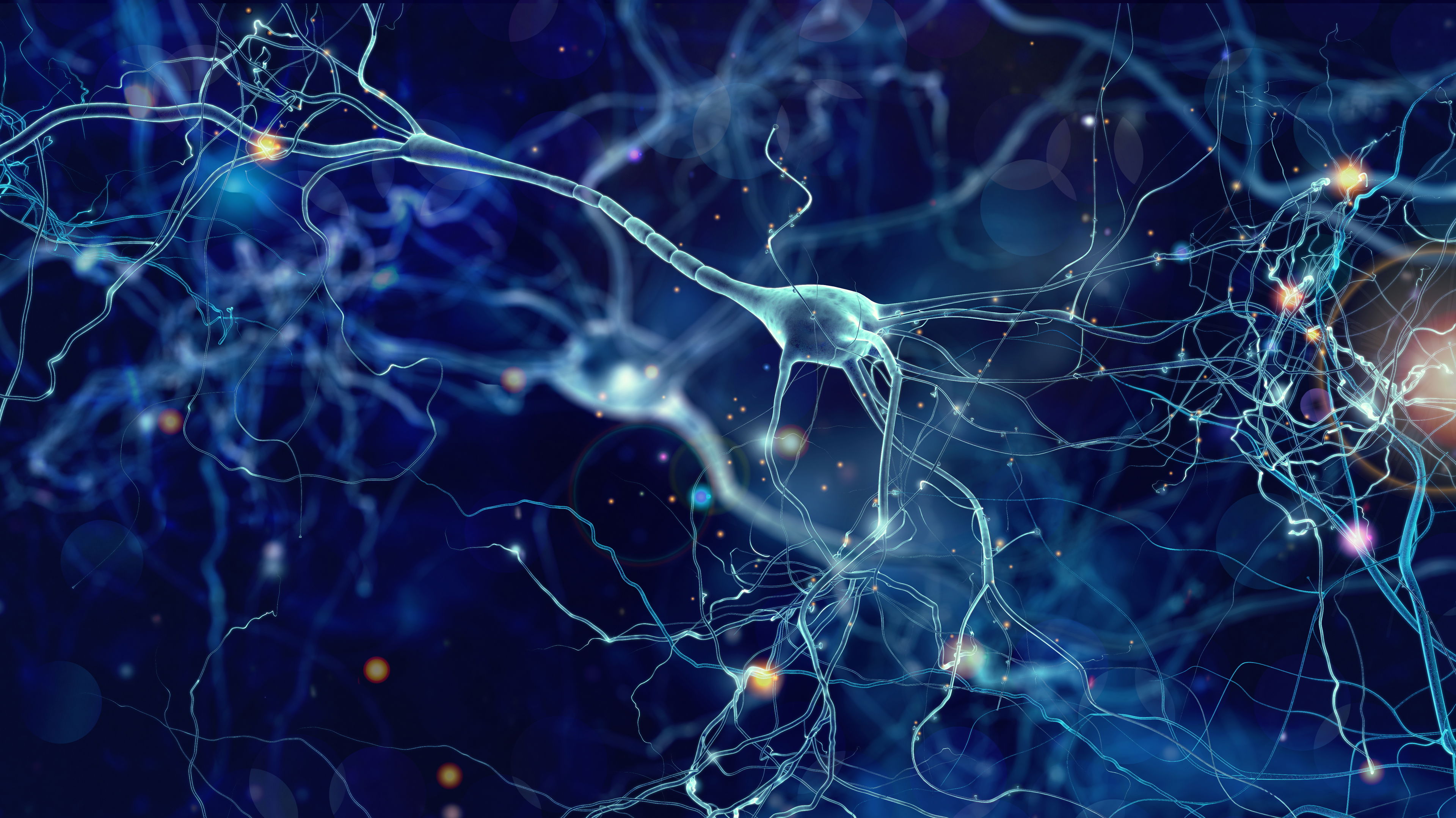 Anzeichen eines Cannabinoid-Mangels – Nervenzellen im Endocannabinoid-System Abstrakte Darstellung von Nervenzellen und Synapsen im menschlichen Gehirn – symbolisiert das Endocannabinoid-System bei Cannabinoid-Mangel.