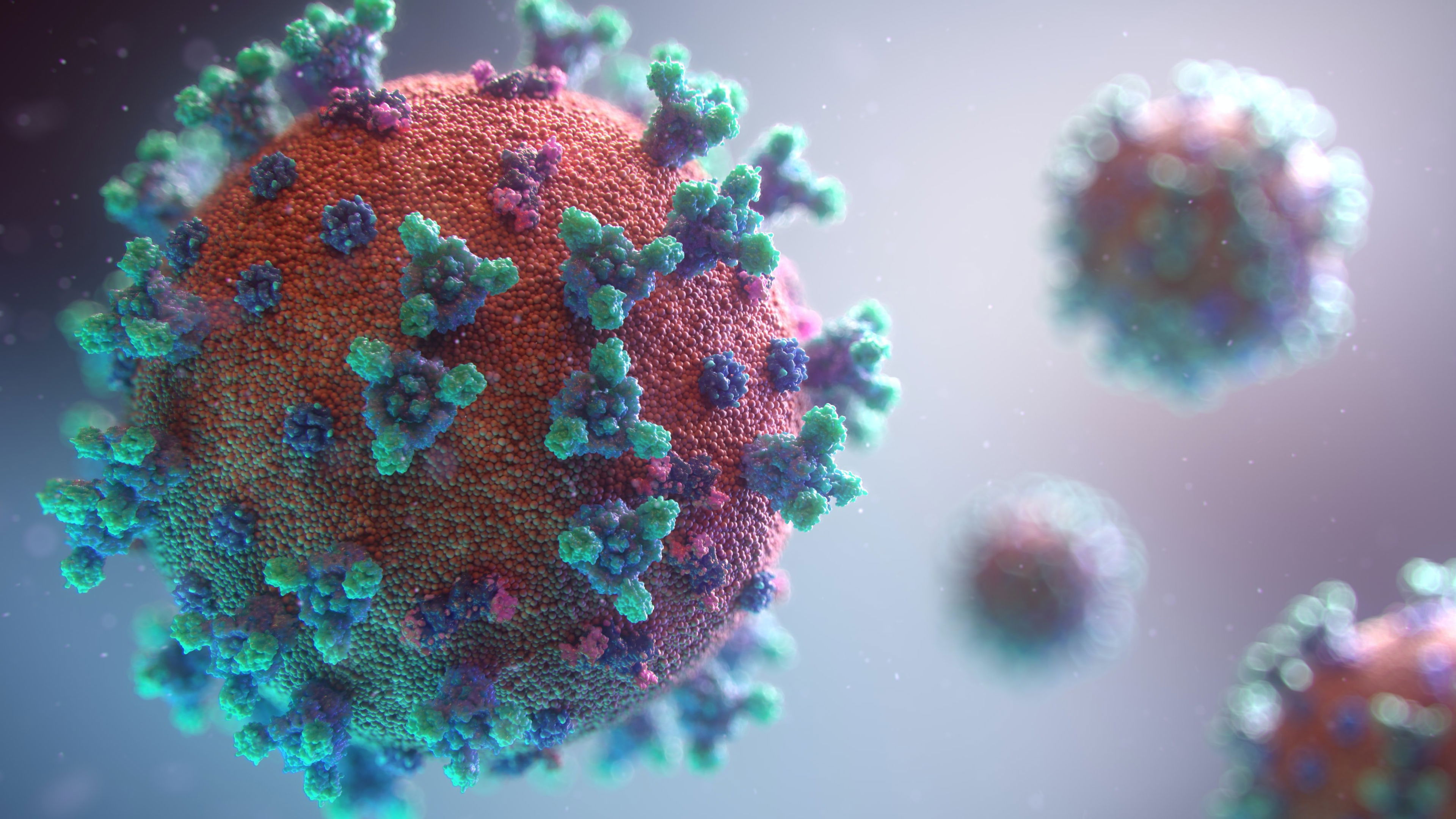 Können Cannabis-Inhaltsstoffe vor COVID-19 schützen? 3D-Darstellung eines Coronavirus mit Spike-Proteinen in kräftigen Farben – Symbolbild für den Zusammenhang zwischen CBD/Cannabinoiden und COVID-19.