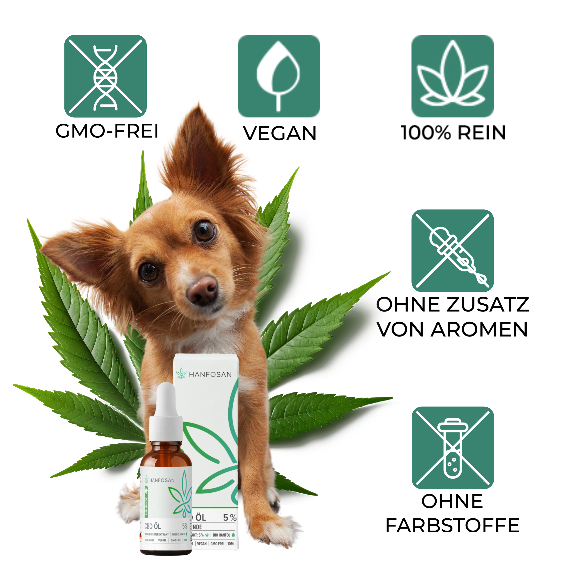 CBD Premium Öl für Hunde 5 % · 10 ml Produktbild 2