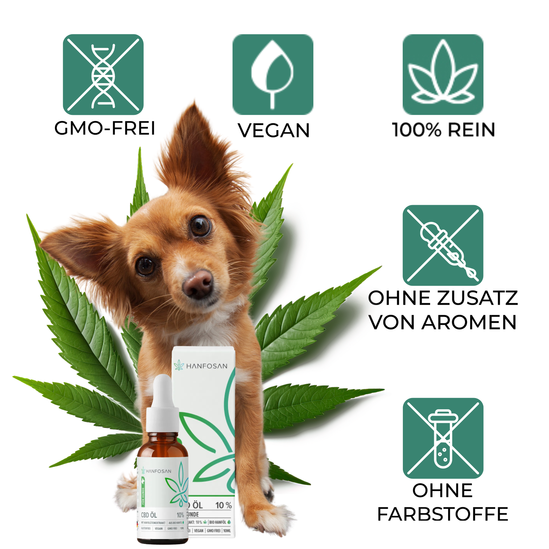 CBD Öl Hunde 10 Prozent Hanfosan