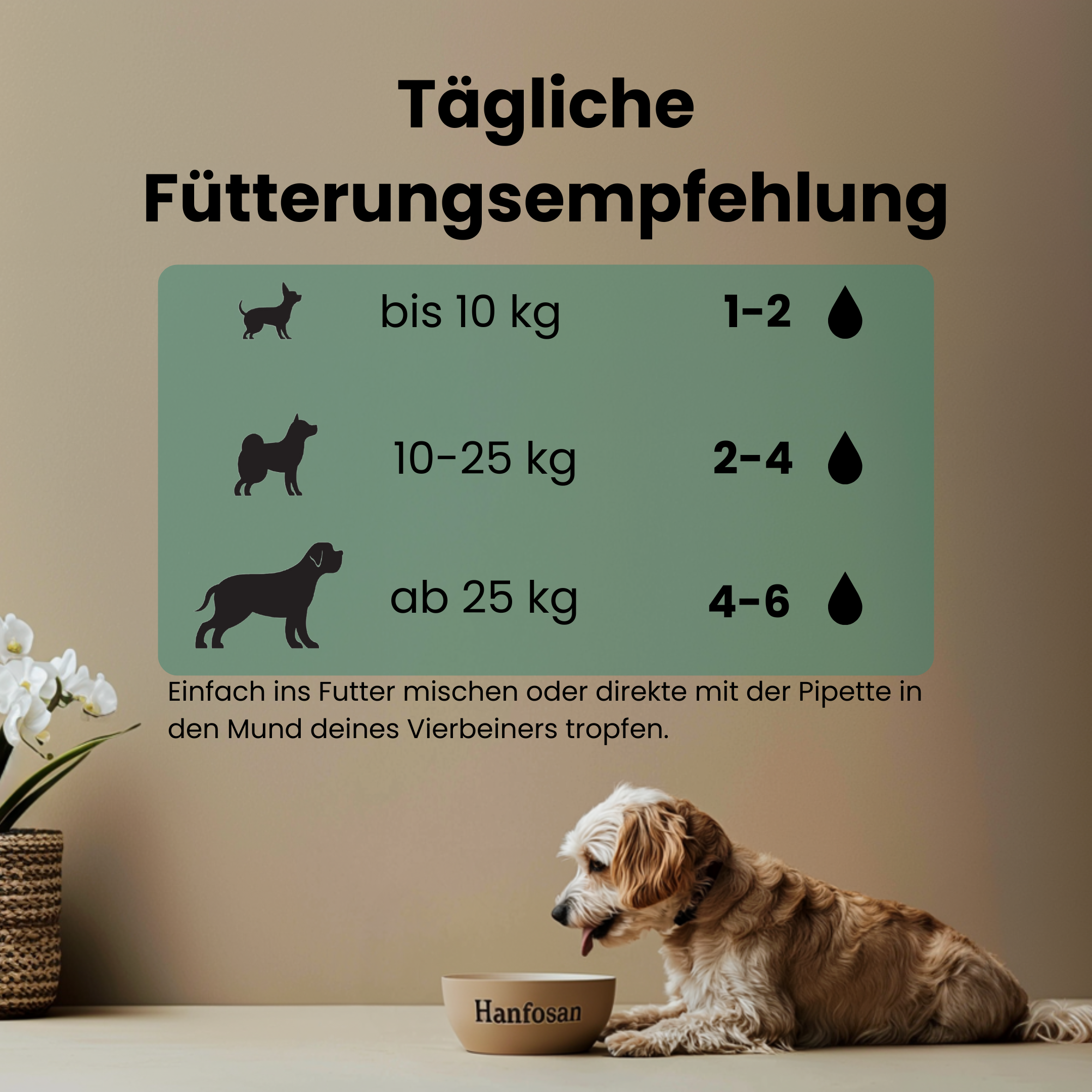 CBD Premium Öl für Hunde 5 % · 10 ml Produktbild 5
