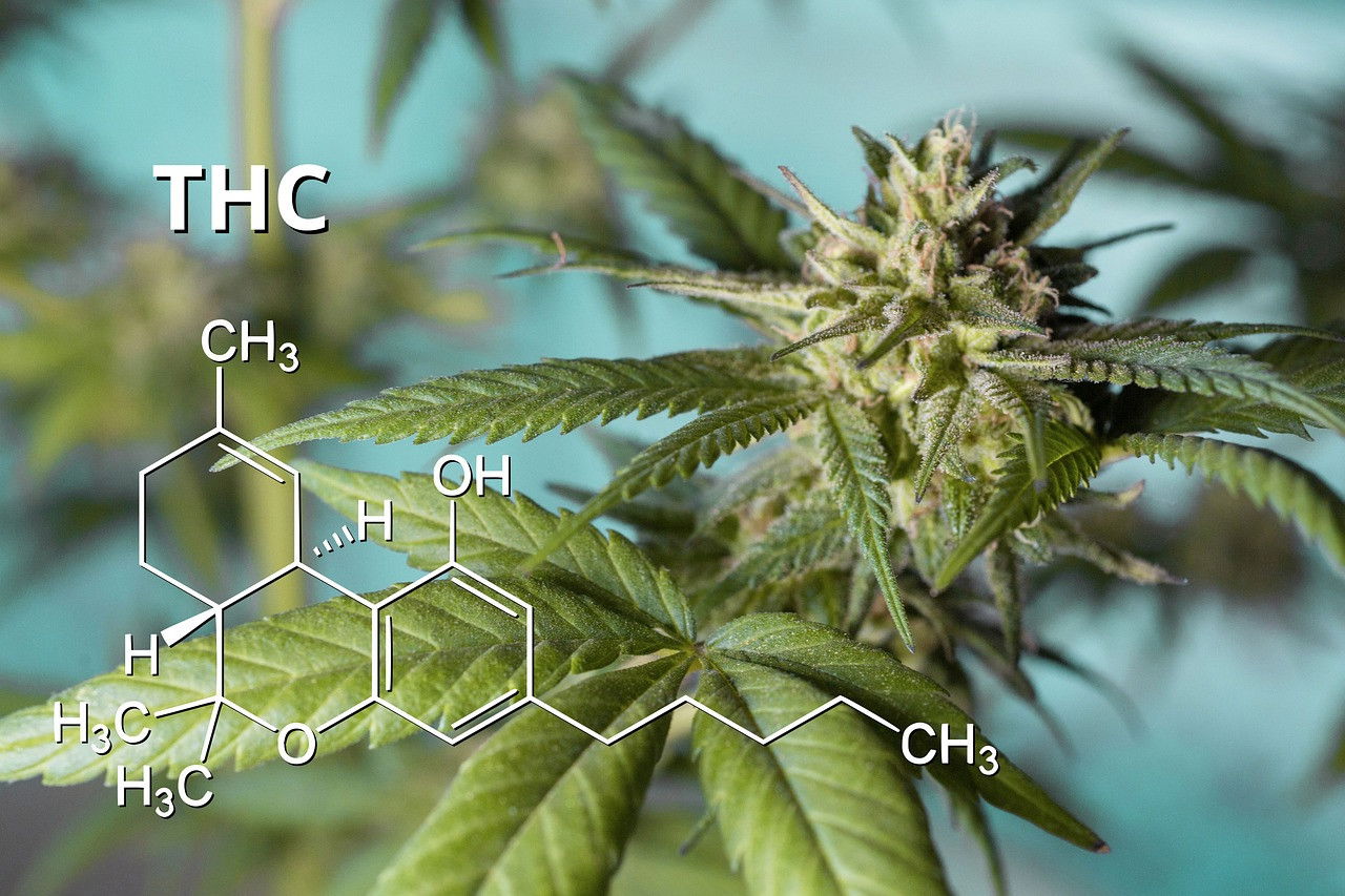 HHC vs THC - Was ist der Unterschied?