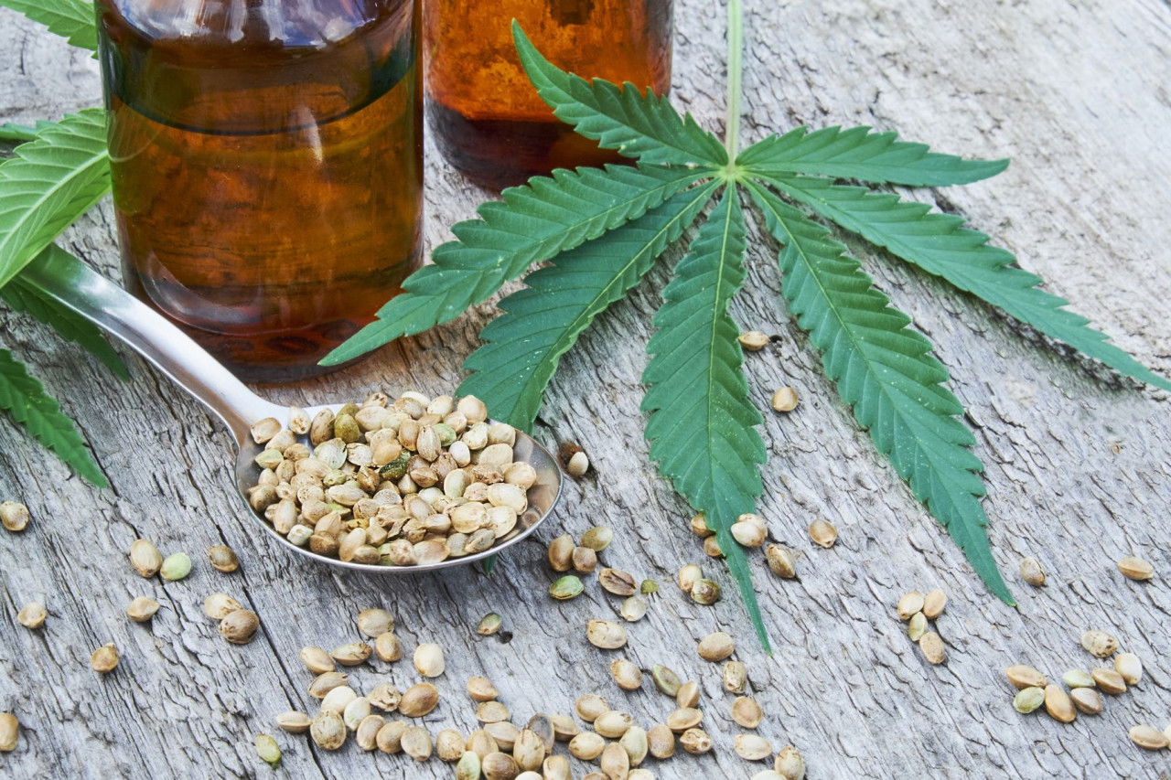 Hanföl vs. CBD Öl – Was ist der Unterschied?